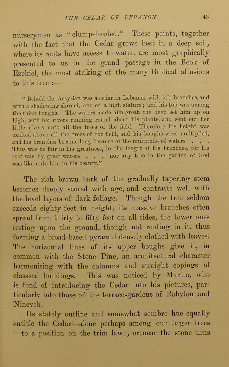 nurserymen as “ clump-headed.” These points, together with the fact that the Cedar grows best in a deep soil, where its roots have access to water, are most graphically presented to us in the grand passage in the Book of Ezekiel, the most striking of the many Biblical allusions to this tree :— “ Behold the Assyrian was a cedar in Lebanon with fair branches, and with a shadowing shroud, and of a high stature; and his top was among the thick houghs. The waters made him great, the deep set him up on high, with her rivers running round about his plants, and sent out her little rivers unto all the trees of the field. Therefore his height was exalted above all the trees of the field, and his boughs were multiplied, and his branches became long because of the multitude of waters Thus was he fair in his greatness, in the length of his branches, for his root was by great waters . . . nor any tree in the garden of God was like unto him in his beauty.” The rich brown bark of the gradually tapering stem becomes deeply scored with age, and contrasts well with the level layers of dark foliage. Though the tree seldom exceeds eighty feet in height, its massive branches often spread from thirty to fifty feet on all sides, the lower ones resting upon the ground, though not rooting in it, thus forming a broad-based pyramid densely clothed with leaves. The horizontal lines of its upper boughs give it, in common with the Stone Pine, an architectural character harmonising with the columns and straight copings of classical buildings. This was noticed by Martin, who is fond of introducing the Cedar into his pictures, par- ticularly into those of the terrace-gardens of Babylon and Nineveh. Its stately outline and somewhat sombre hue equally entitle the Cedar-—alone perhaps among our larger trees —to a position on the trim lawn, or;near the stone urns