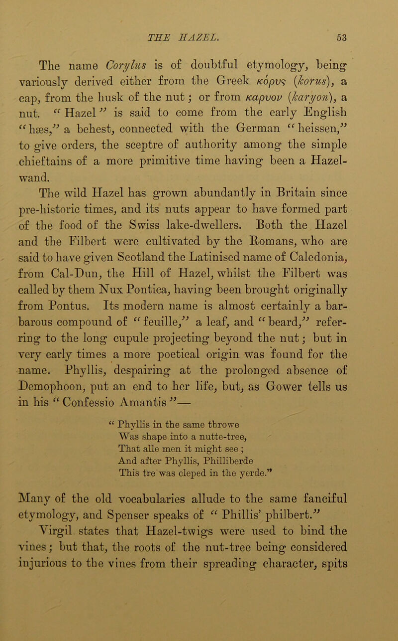 The name Corylus is of doubtful etymology, being variously derived either from the Greek /copu? (/corns), a cap, from the husk of the nut; or from Kapvov (Jcaryon), a nut. “ Hazel ” is said to come from the early English “haes/* a behest, connected with the German “heissen,” to give orders, the sceptre of authority among the simple chieftains of a more primitive time having been a Hazel- wand. The wild Hazel has grown abundantly in Britain since pre-historic times, and its nuts appear to have formed part of the food of the Swiss lake-dwellers. Both the Hazel and the Filbert were cultivated by the Romans, who are said to have given Scotland the Latinised name of Caledonia, from Cal-Dun, the Hill of Hazel, whilst the Filbert was called by them Nux Pontica, having been brought originally from Pontus. Its modern name is almost certainly a bar- barous compound of te feuille/’ a leaf, and (< beard/’ refer- ring to the long cupule projecting beyond the nut; but in very early times a more poetical origin was found for the name. Phyllis, despairing at the prolonged absence of Demophoon, put an end to her life, but, as Gower tells us in his “ Confessio Amantis ”— “ Phyllis in the same throwe Was shape into a nutte-tree, That alle men it might see ; And after Phyllis, Philliberde This tre was cleped in the yerde.” Many of the old vocabularies allude to the same fanciful etymology, and Spenser speaks of “ Phillis’ philbert. Yirgil states that Hazel-twigs were used to bind the vines; but that, the roots of the nut-tree being considered injurious to the vines from their spreading character, spits