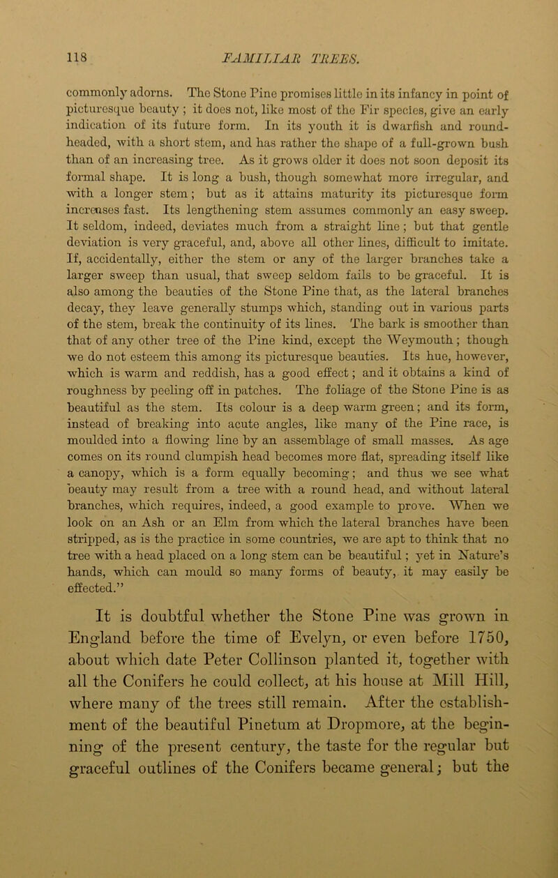 commonly adorns. The Stone Pine promises little in its infancy in point of picturesque beauty ; it does not, like most of the Fir species, give an early indication of its future form. In its youth it is dwarfish and round- headed, with a short stem, and has rather the shape of a full-grown bush than of an increasing tree. As it grows older it does not soon deposit its formal shape. It is long a bush, though somewhat more irregular, and with a longer stem; but as it attains maturity its picturesque form increases fast. Its lengthening stem assumes commonly an easy sweep. It seldom, indeed, deviates much from a straight line; but that gentle deviation is very graceful, and, above all other lines, difficult to imitate. If, accidentally, either the stem or any of the larger branches take a larger sweep than usual, that sweep seldom fails to be graceful. It is also among the beauties of the Stone Pine that, as the lateral branches decay, they leave generally stumps which, standing out in various parts of the stem, break the continuity of its lines. The bark is smoother than that of any other tree of the Pine kind, except the Weymouth; though we do not esteem this among its picturesque beauties. Its hue, however, which is warm and reddish, has a good effect; and it obtains a kind of roughness by peeling off in patches. The foliage of the Stone Pine is as beautiful as the stem. Its colour is a deep warm green; and its form, instead of breaking into acute angles, like many of the Pine race, is moulded into a flowing line by an assemblage of small masses. As age comes on its round dumpish head becomes more flat, spreading itself like a canopy, which is a form equally becoming; and thus we see what beauty may result from a tree with a round head, and without lateral branches, which requires, indeed, a good example to prove. When we look on an Ash or an Elm from which the lateral branches have been stripped, as is the practice in some countries, we are apt to think that no tree with a head placed on a long stem can be beautiful; yet in Nature’s hands, which can mould so many forms of beauty, it may easily be effected.” It is doubtful whether the Stone Pine was grown in England before the time of Evelyn, or even before 1750, about which date Peter Collinson planted it, together with all the Conifers he could collect, at his house at Mill Hill, where many of the trees still remain. After the establish- ment of the beautiful Pinetum at Dropmore, at the begin- ning of the present century, the taste for the regular but graceful outlines of the Conifers became general; but the