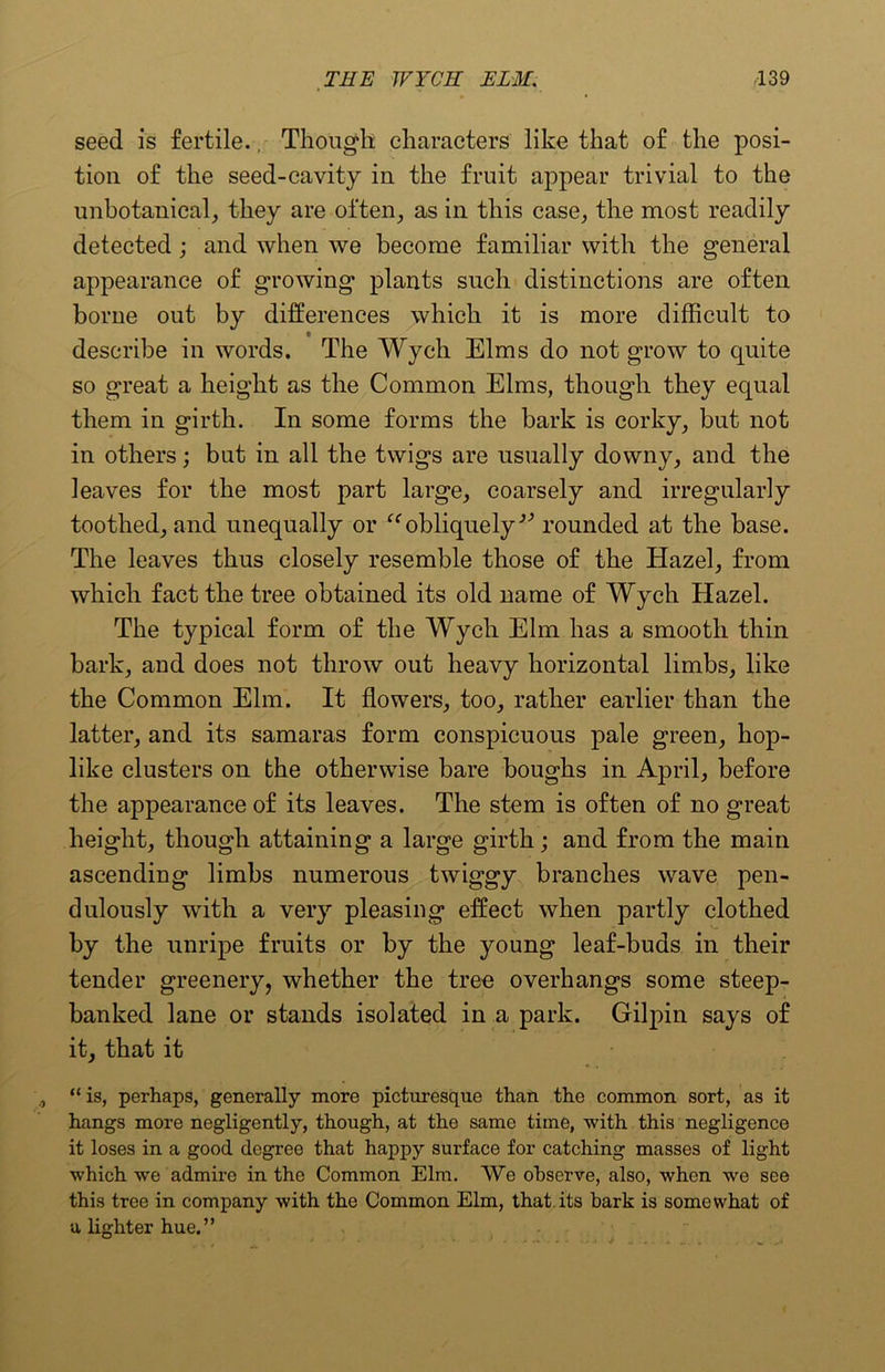 seed is fertile.. Though characters like that of the posi- tion of the seed-cavity in the fruit appear trivial to the unbotanical, they are often, as in this case, the most readily detected ; and when we become familiar with the general appearance of growing plants such distinctions are often borne out by differences which it is more difficult to describe in words. The Wych Elms do not grow to quite so great a height as the Common Elms, though they equal them in girth. In some forms the bark is corky, but not in others; but in all the twigs are usually downy, and the leaves for the most part large, coarsely and irregularly toothed, and unequally or “obliquelyv rounded at the base. The leaves thus closely resemble those of the Hazel, from which fact the tree obtained its old name of Wych Hazel. The typical form of the Wych Elm has a smooth thin bark, and does not throw out heavy horizontal limbs, like the Common Elm. It flowers, too, rather earlier than the latter, and its samaras form conspicuous pale green, hop- like clusters on the otherwise bare boughs in April, before the appearance of its leaves. The stem is often of no great height, though attaining a large girth; and from the main ascending limbs numerous twiggy branches wave pen- dulously with a very pleasing effect when partly clothed by the unripe fruits or by the young leaf-buds in their tender greenery, whether the tree overhangs some steep- banked lane or stands isolated in a park. Gilpin says of it, that it “ is, perhaps, generally more picturesque than the common sort, as it hangs more negligently, though, at the same time, with this negligence it loses in a good degree that happy surface for catching masses of light which we admire in the Common Elm. We observe, also, when we see this tree in company with the Common Elm, that its hark is somewhat of a lighter hue.”