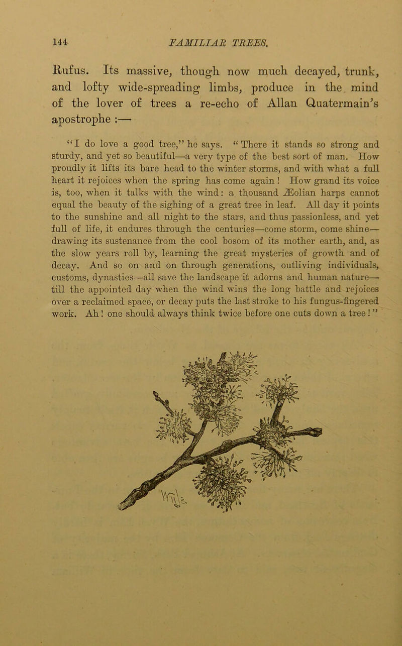 Rufus. Its massive, though now much decayed, trunk, and lofty wide-spreading limbs, produce in the mind of the lover of trees a re-echo of Allan Quatermain's apostrophe :— “I do love a good tree,” he says. “There it stands so strong and sturdy, and yet so beautiful—a very type of the host sort of man. How proudly it lifts its hare head to the winter storms, and with what a full heart it rejoices when the spring has come again ! How grand its voice is, too, when it talks with the wind: a thousand JEolian harps cannot equal the beauty of the sighing of a great tree in leaf. All day it points to the sunshine and all night to the stars, and thus passionless, and yet full of life, it endures through the centuries—come storm, come shine— drawing its sustenance from the cool bosom, of its mother earth, and, as the slow years roll by, learning the great mysteries of growth and of decay. And so on and on through generations, outliving individuals, customs, dynasties—all save the landscape it adorns and human nature—• till the appointed day when the wind wins the long battle and rejoices over a reclaimed space, or decay puts the last stroke to his fungus-fingered work. Ah ! one should always think twice before one cuts down a tree! ”
