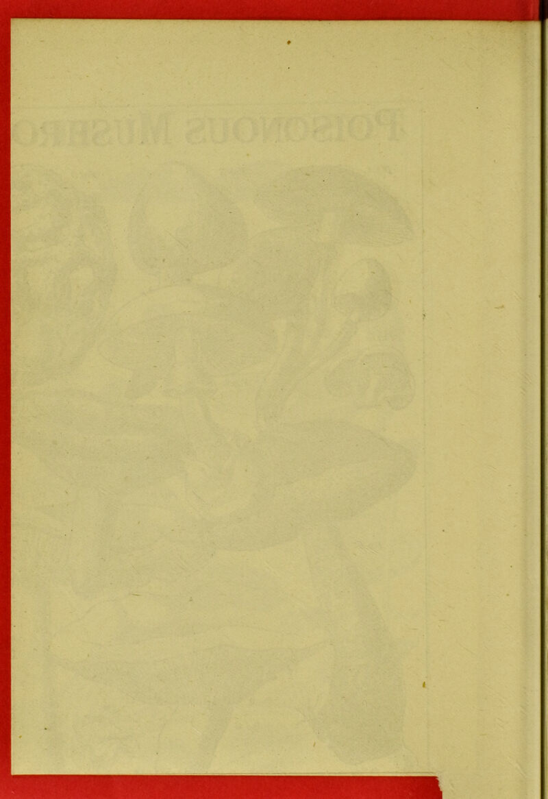i‘* l\''?vr’5 V'J ', ■v V ti V.^'^ ' t \yr> •V- - f' k'Ai ■ & ■y' ■ <, ■ ■». ■•'■■', ’ ■Tjfc';''-^*' y ’- ... ■-.. -.ff / .iT ^ |r