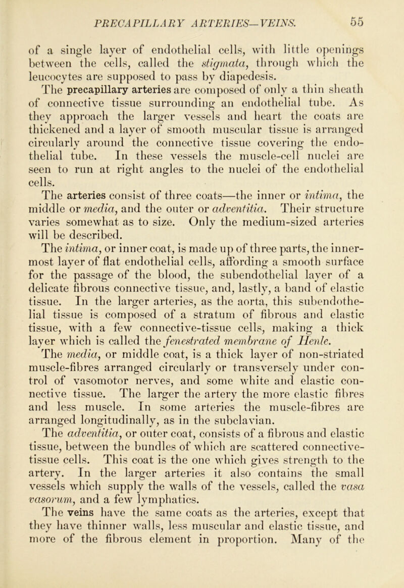 of a single layer of endothelial cells, with little openings between the cells, called the digmatay through which the leucocytes are supposed to pass by diapedesis. The precapillary arteries are composed of only a thin sheath of connective tissue surrounding an endothelial tube. As they approach the larger vessels and heart the coats are thickened and a layer of smooth muscular tissue is arranged circularly around the connective tissue covering the endo- thelial tube. In these vessels the muscle-cell nuclei are seen to run at right angles to the nuclei of the endothelial cells. The arteries consist of three coats—the inner or intima, the middle or media, and the outer or adventitia. Their structure varies somewhat as to size. Only the medium-sized arteries will be described. The intima, or inner coat, is made up of three parts, the inner- most layer of flat endothelial cells, affording a smooth surface for the passage of the blood, the subendothelial layer of a delicate fibrous connective tissue, and, lastly, a band of elastic tissue. In the larger arteries, as the aorta, this subendothe- lial tissue is composed of a stratum of fibrous and elastic tissue, with a few connective-tissue cells, making a thick layer which is called the fenestrated membrane of Henle. The meduty or middle coat, is a thick layer of non-striated muscle-fibres arranged circularly or transversely under con- trol of vasomotor nerves, and some white and elastic con- nective tissue. The larger the artery the more elastic fibres and less muscle. In some arteries the muscle-fibres are arranged longitudinally, as in the subclavian. The adventitiay or outer coat, consists of a fibrous and elastic tissue, between the bundles of which are scattered connective- tissue cells. This coat is the one which gives strength to the artery. In the larger arteries it also contains the small vessels which supply the walls of the vessels, called the vasa vasorum, and a few lymphatics. The veins have the same coats as the arteries, except that they have thinner walls, less muscular and elastic tissue, and more of the fibrous element in proportion. Many of the