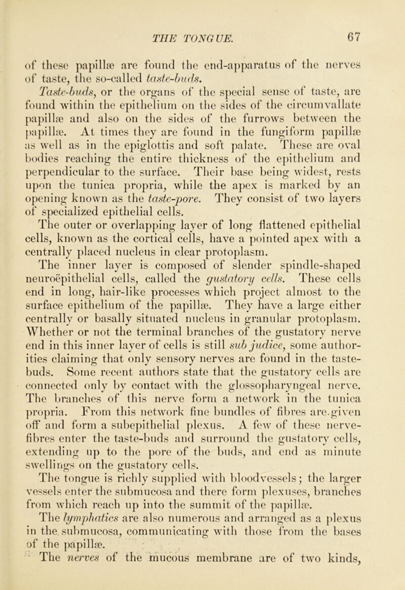 of these papillfe are found tlie end-apparatus of the nerves of taste, the so-called taste-buds. Taste-buds, or the organs of the special sense of taste, are found within the epithelium on the sides of the circnmvallate papillae and also on the sides of the furrows between the pa])illje. At times they are found in the fungiform papilla) as well as in the epiglottis and soft palate. These are oval bodies reaching the entire thickness of the epithelium and perpendicular to the surface. Their base being widest, rests upon the tunica propria, while the apex is marked by an opening known as the taste-pore. They consist of two layers of specialized epithelial cells. The outer or overlapping layer of long flattened epithelial cells, known as the cortical cells, have a pointed apex with a centrally placed nucleus in clear protoplasm. The inner layer is composed of slender spindle-shaped neuroepithelial cells, called the gustatory cells. These cells end in long, hair-like processes which project almost to the surface epithelium of the papillae. They have a large either centrally or basally situated nucleus in granular protoplasm. Whether or not the terminal branches of the gustatory nerve end in this inner layer of cells is still sub judice, some author- ities claiming that only sensory nerves are found in the taste- buds. Some recent authors state that the gustatory cells are connected only by contact with the glossopharyngeal nerve. The branches of this nerve form a network in the tunica propria. From this network fine bundles of fil)res are.given off and form a subepithelial ])lexus. A few of these nerve- fibres enter the taste-buds and surround the gustatory cells, extending up to the pore of the buds, and end as minute swellings on the gustatory cells. The tongue is richly supplied with bloodvessels; the larger vessels enter the submucosa and there form plexuses, branches from which reach up into the summit of the papilla?. The lymphatics are also numerous and arranged as a plexus in the submucosa, communicating with those from the bases of the papillse. ' The nerves of the mucous membrane are of two kinds.