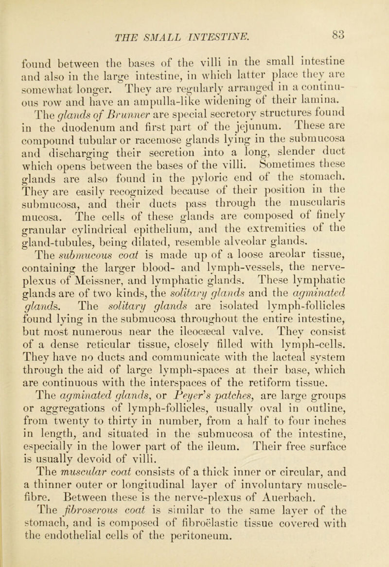 found between the bases of the villi in the small intestine and also in the large intestine, in w somewhat longer. They are regnla ons row and have an ampnlla-like \ ^ The glands of Brunner are s})ecial secretory structures found in the dnodennm and first part of the jejunum. These are compound tubular or racemose glands lying in the snbrnncosa and discharging their secretion into a long, slender duct which opens between the bases of the villi. Sometimes these glands are also found in the pyloric end of the stomach. They are easily recognized because of their ])osition in the snbmncosa, and their ducts pass through the mnscnlaris mucosa. The cells of these glands are composed of finely granular cylindrical epithelium, and the extremities of the gland-tnbnles, being dilated, resemble alveolar glands. The submucous coat is made up of a loose areolar tissue, containing the larger blood- and lymj)h-vessels, the nerve- plexus of Meissner, and lymphatic glands. These lymphatic glands are of two kinds, the solitary glands and the agminated glands. The solitary glands are isolated lymph-follicles found lying in the submucosa throughout the entire intestine, but most numerous near the ileoc^ecal valve. They consist * of a dense reticular tissue, closely filled with lymph-cells. They have no ducts and communicate with the lacteal system through the aid of large lymph-spaces at their base, which are continuous with the interspaces of the retiform tissue. The agminated glands^ or Beyer’s patches, are large groups or aggregations of lymph-follicles, usually oval iu outline, from twenty to thirty in number, from a half to four inches in length, and situated in the submucosa of the intestine, especially in the lower part of the ileum. Their free surface is usually devoid of villi. The muscular coat consists of a thick inner or circular, and a thinner outer or longitudinal layer of involuntary muscle- fibre. Between these is the nerve-plexus of Auerbach. The fibroserous coat is similar to the same laver of the stomach, and is composed of fibroelastic tissue covered with the endothelial cells of the peritoneum. hich latter place they are rly arranged in a continu- vudeniniT of their lamina.