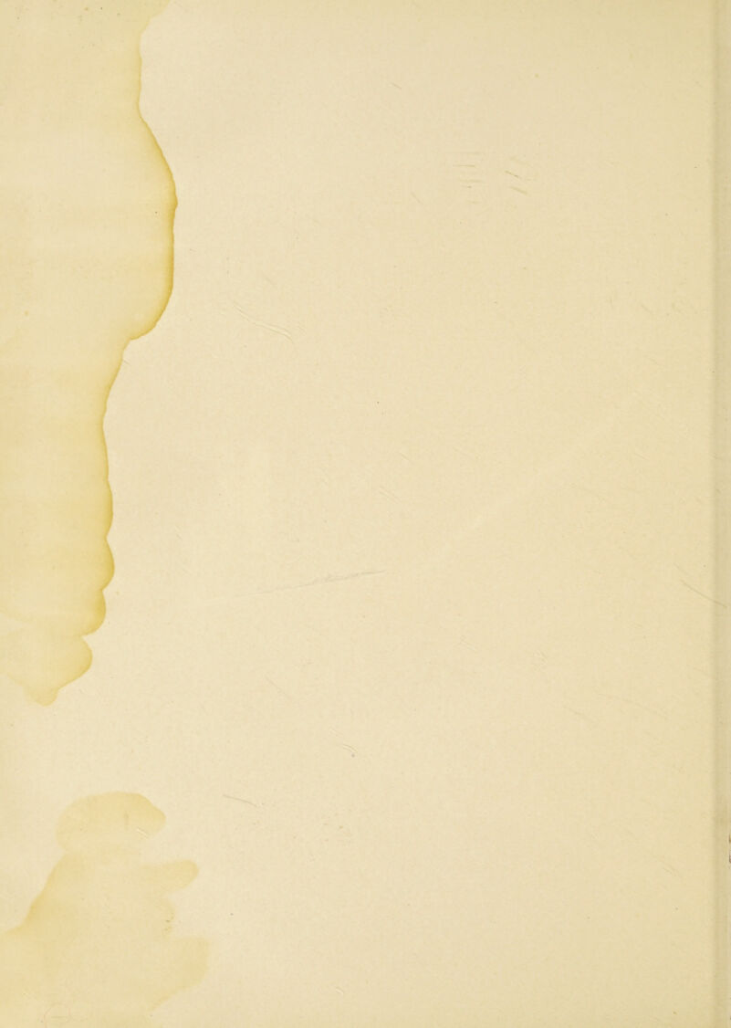 I: V V % • ^ V • . ' ^ y •• •. • - . ■• • .V- ■ ^ --- k»’ 'V .V, 'T-^' t k