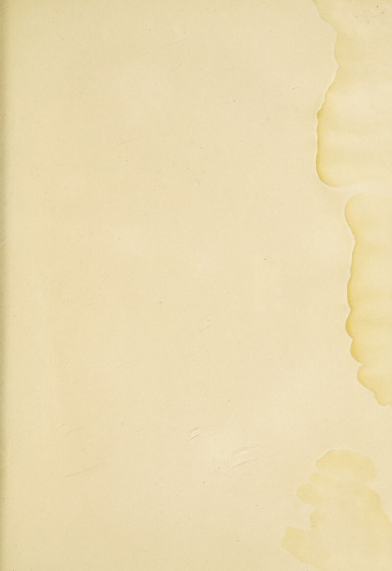 1. V I i .4-, '• ■ • .*v ^ . *1- V * 9> •Jfi- * 'k ' V • <•4