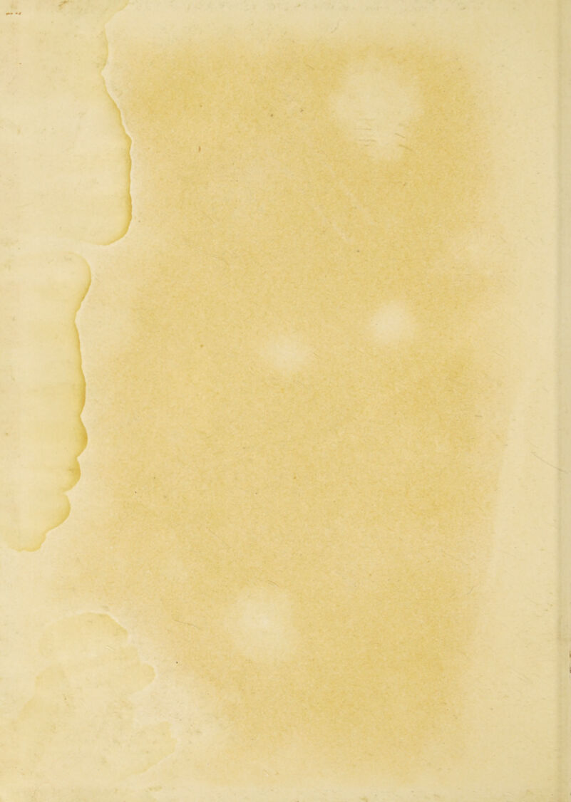 >. ; »; t r 't. .1-' i- % T,