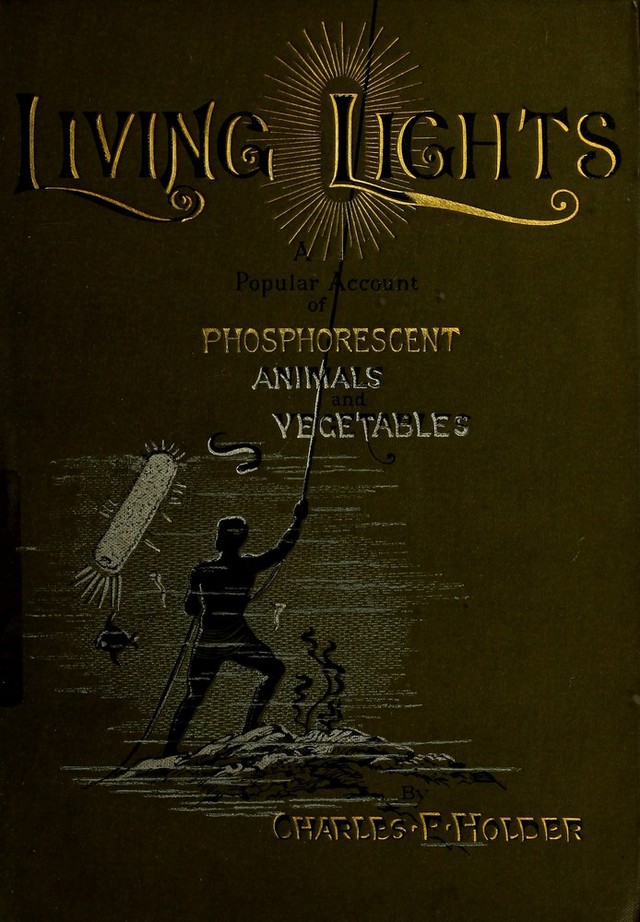 No text description is available for this image