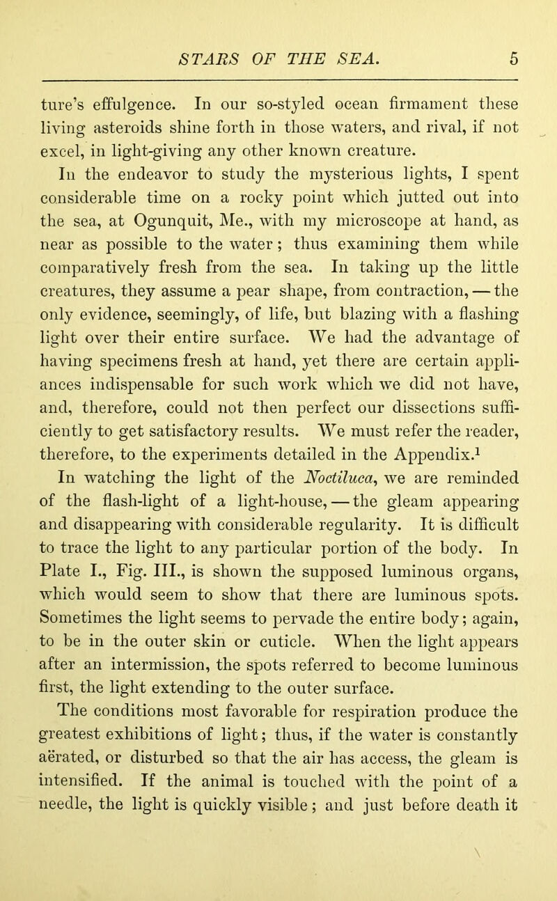 ture’s effulgence. In our so-stylecl ocean firmament these living asteroids shine forth in those waters, and rival, if not excel, in light-giving any other known creature. In the endeavor to study the mysterious lights, I spent considerable time on a rocky point which jutted out into the sea, at Ogunquit, Me., with my microscope at hand, as near as possible to the water; thus examining them while comparatively fresh from the sea. In taking up the little creatures, they assume a pear shape, from contraction, — the only evidence, seemingly, of life, but blazing with a flashing light over their entire surface. We had the advantage of having specimens fresh at hand, yet there are certain appli- ances indispensable for such work which we did not have, and, therefore, could not then perfect our dissections suffi- ciently to get satisfactory results. We must refer the reader, therefore, to the experiments detailed in the Appendix.^ In watching the light of the Noctiluca, we are reminded of the flash-light of a light-house, — the gleam appearing and disappearing with considerable regularity. It is difficult to trace the light to any particular portion of the body. In Plate I., Fig. III., is shown the supposed luminous organs, which would seem to show that there are luminous spots. Sometimes the light seems to pervade the entire body; again, to be in the outer skin or cuticle. When the light appears after an intermission, the spots referred to become luminous first, the light extending to the outer surface. The conditions most favorable for respiration produce the greatest exhibitions of light; thus, if the water is constantly aerated, or disturbed so that the air has access, the gleam is intensified. If the animal is touched with the point of a needle, the light is quickly visible ; and just before death it