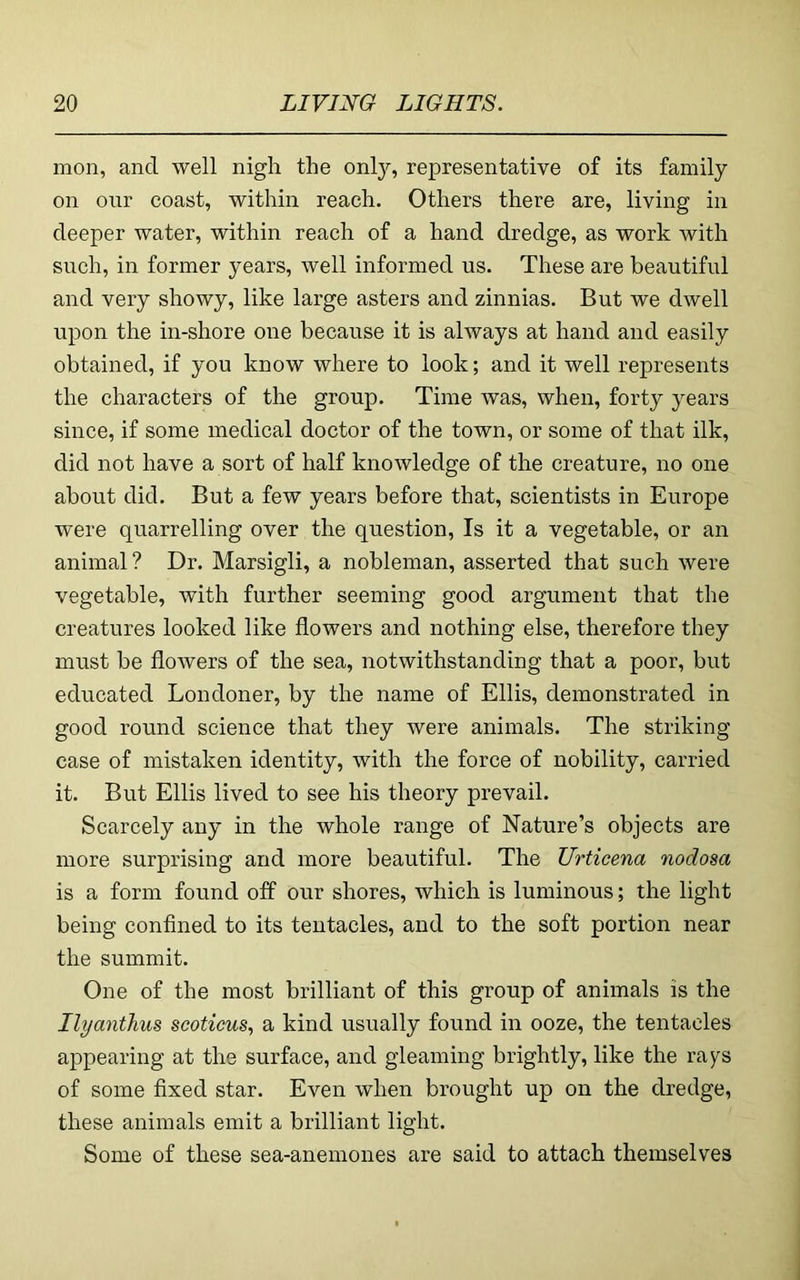 mon, and well nigh the only, representative of its family on onr coast, within reach. Others there are, living in deeper water, within reach of a hand dredge, as work with such, in former years, well informed us. These are beautiful and very showy, like large asters and zinnias. But we dwell upon the in-shore one because it is always at hand and easily obtained, if you know where to look; and it well represents the characters of the group. Time was, when, forty years since, if some medical doctor of the town, or some of that ilk, did not have a sort of half knowledge of the creature, no one about did. But a few years before that, scientists in Europe were quarrelling over the question. Is it a vegetable, or an animal? Dr. Marsigli, a nobleman, asserted that such were vegetable, with further seeming good argument that the creatures looked like flowers and nothing else, therefore they must be flowers of the sea, notwithstanding that a poor, but educated Londoner, by the name of Ellis, demonstrated in good round science that they were animals. The striking case of mistaken identity, with the force of nobility, carried it. But Ellis lived to see his theory prevail. Scarcely any in the whole range of Nature’s objects are more surprising and more beautiful. The Urticena nodosa is a form found off our shores, which is luminous; the light being confined to its tentacles, and to the soft portion near the summit. One of the most brilliant of this group of animals is the Ilyanthus scoticus, a kind usually found in ooze, the tentacles appearing at the surface, and gleaming brightly, like the ra^s of some fixed star. Even when brought up on the dredge, these animals emit a brilliant light. Some of these sea-anemones are said to attach themselves