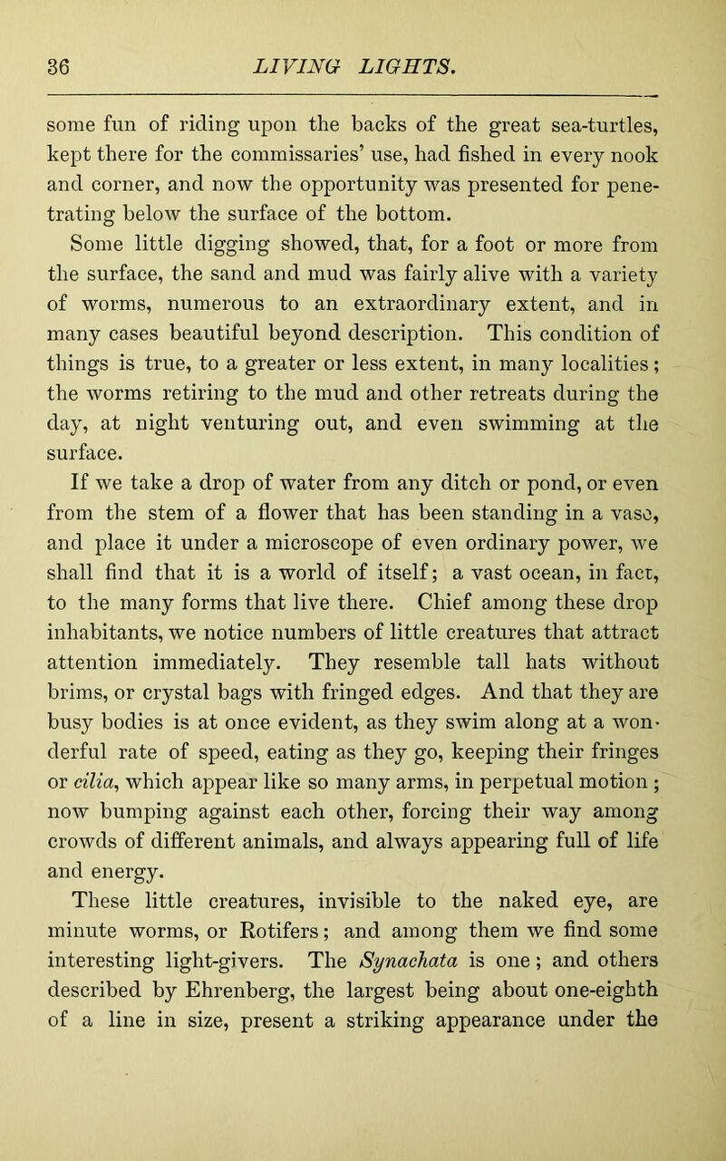 some fun of riding upon the backs of the great sea-turtles, kept there for the commissaries’ use, had fished in every nook and corner, and now the opportunity was presented for pene- trating below the surface of the bottom. Some little digging showed, that, for a foot or more from the surface, the sand and mud was fairly alive with a variety of worms, numerous to an extraordinary extent, and in many cases beautiful beyond description. This condition of things is true, to a greater or less extent, in many localities; the worms retiring to the mud and other retreats during the day, at night venturing out, and even swimming at the surface. If we take a drop of water from any ditch or pond, or even from the stem of a flower that has been standing in a vase, and place it under a microscope of even ordinary power, we shall find that it is a world of itself; a vast ocean, in fact, to the many forms that live there. Chief among these drop inhabitants, we notice numbers of little creatures that attract attention immediately. They resemble tall hats without brims, or crystal bags with fringed edges. And that they are busy bodies is at once evident, as they swim along at a won- derful rate of speed, eating as they go, keeping their fringes or cilia,, which appear like so many arms, in perpetual motion ; now bumping against each other, forcing their way among crowds of different animals, and always appearing full of life and energy. These little creatures, invisible to the naked eye, are minute worms, or Rotifers; and among them we find some interesting light-givers. The Synachata is one; and others described by Ehrenberg, the largest being about one-eighth of a line in size, present a striking appearance under the