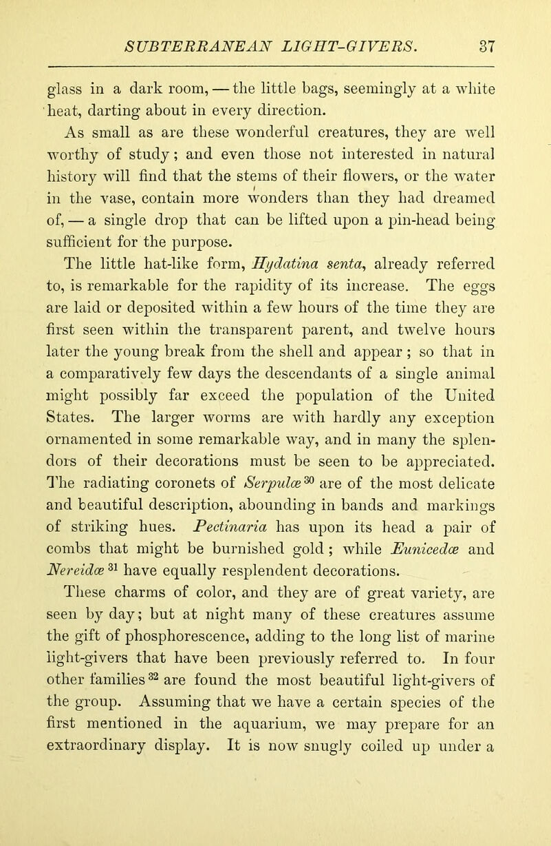 glass in a dark room, — the little bags, seemingly at a white heat, darting about in every direction. As small as are these wonderful creatures, they are well worthy of study; and even those not interested in natural history will find that the stems of their flowers, or the water in the vase, contain more wonders than they had dreamed of, — a single drop that can be lifted upon a pin-head being sufficient for the purpose. The little hat-like form, Hydatina senta, already referred to, is remarkable for the rapidity of its increase. The eggs are laid or deposited within a few hours of the time they are first seen within the transparent parent, and twelve hours later the young break from the shell and appear ; so that in a comparatively few days the descendants of a single animal might possibly far exceed the population of the United States. The larger worms are with hardly any exception ornamented in some remarkable way, and in many the splen- dors of their decorations must be seen to be appreciated. I'he radiating coronets of Serpulce ^ are of the most delicate and beautiful description, abounding in bands and markings of striking hues. Pectinaria has upon its head a pair of combs that might be burnished gold; while Eunicedce and Nereidce^^ have equally resplendent decorations. These charms of color, and they are of great variety, are seen by day; but at night many of these creatures assume the gift of phosphorescence, adding to the long list of marine light-givers that have been previously referred to. In four other families are found the most beautiful light-givers of the group. Assuming that we have a certain species of the first mentioned in the aquarium, we may prepare for an extraordinary display. It is now snugly coiled up under a