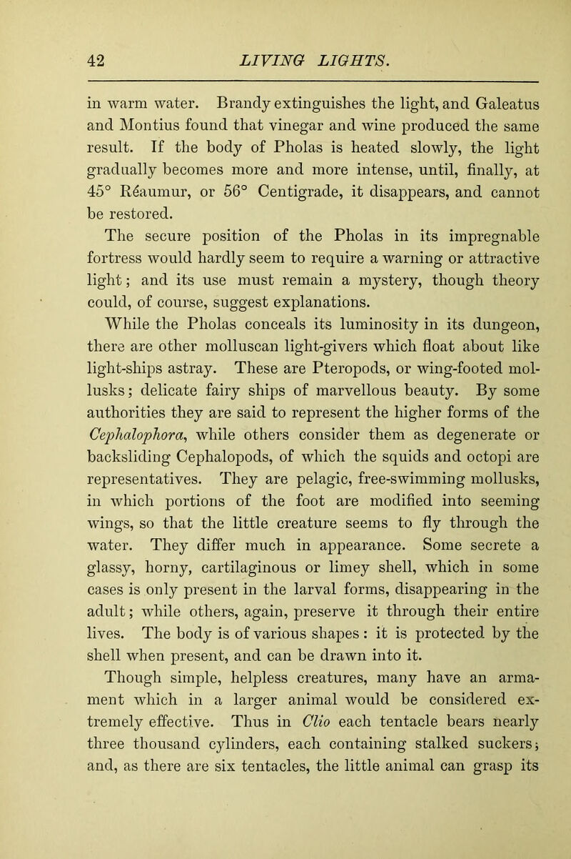 in warm water. Brandy extinguishes the light, and Galeatus and Montius found that vinegar and wine produced the same result. If the body of Pholas is heated slowly, the light gradually becomes more and more intense, until, finally, at 45° Reaumur, or 56° Centigrade, it disappears, and cannot be restored. The secure position of the Pholas in its impregnable fortress would hardly seem to require a warning or attractive light; and its use must remain a mystery, though theory could, of course, suggest explanations. While the Pholas conceals its luminosity in its dungeon, there are other molluscan light-givers which float about like light-ships astray. These are Pteropods, or wing-footed mol- lusks; delicate fairy ships of marvellous beauty. By some authorities they are said to represent the higher forms of the CephalopJiora, while others consider them as degenerate or backsliding Cephalopods, of which the squids and octopi are representatives. They are pelagic, free-swimming mollusks, in which portions of the foot are modified into seeming wings, so that the little creature seems to fly through the water. They differ much in appearance. Some secrete a glassy, horny, cartilaginous or limey shell, which in some cases is only present in the larval forms, disappearing in the adult; while others, again, preserve it through their entire lives. The body is of various shapes : it is protected by the shell when present, and can be drawn into it. Though simple, helpless creatures, many have an arma- ment which in a larger animal would be considered ex- tremely effective. Thus in Clio each tentacle bears nearly three thousand cylinders, each containing stalked suckers; and, as there are six tentacles, the little animal can grasp its