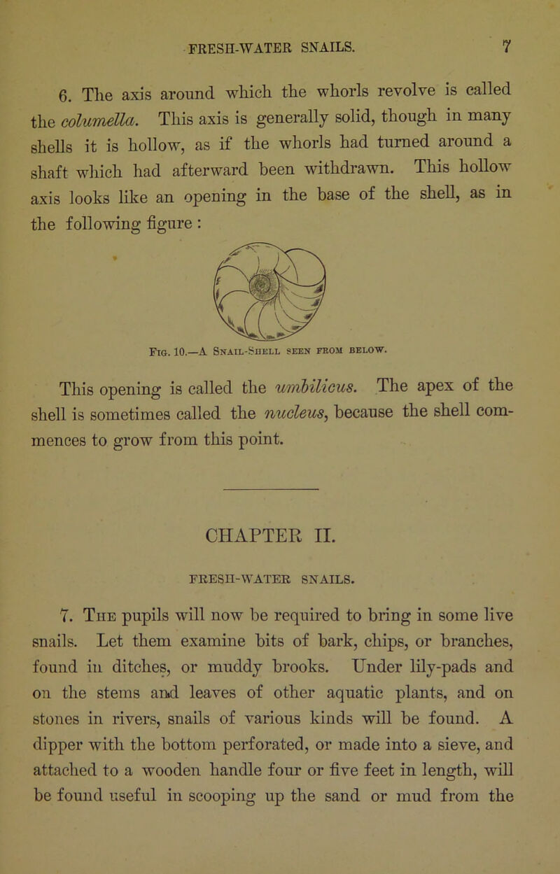 6. The axis around which the whorls revolve is called the columella. This axis is generally solid, though in many shells it is hollow, as if the whorls had turned around a shaft which had afterward been withdrawn. This hollow axis looks like an opening in the base of the shell, as in the following figure: Fig. 10.—A Snail-Shell seen feom below. This opening is called the umbilicus. The apex of the shell is sometimes called the nucleus, because the shell com- mences to grow from this point. CHAPTER II. FRESH-WATER SNAILS. 7. The pupils will now be required to bring in some live snails. Let them examine bits of bark, chips, or branches, found in ditches, or muddy brooks. Under lily-pads and on the steins and leaves of other aquatic plants, and on stones in rivers, snails of various kinds will be found. A dipper with the bottom perforated, or made into a sieve, and attached to a wooden handle four or five feet in length, will be found useful in scooping up the sand or mud from the
