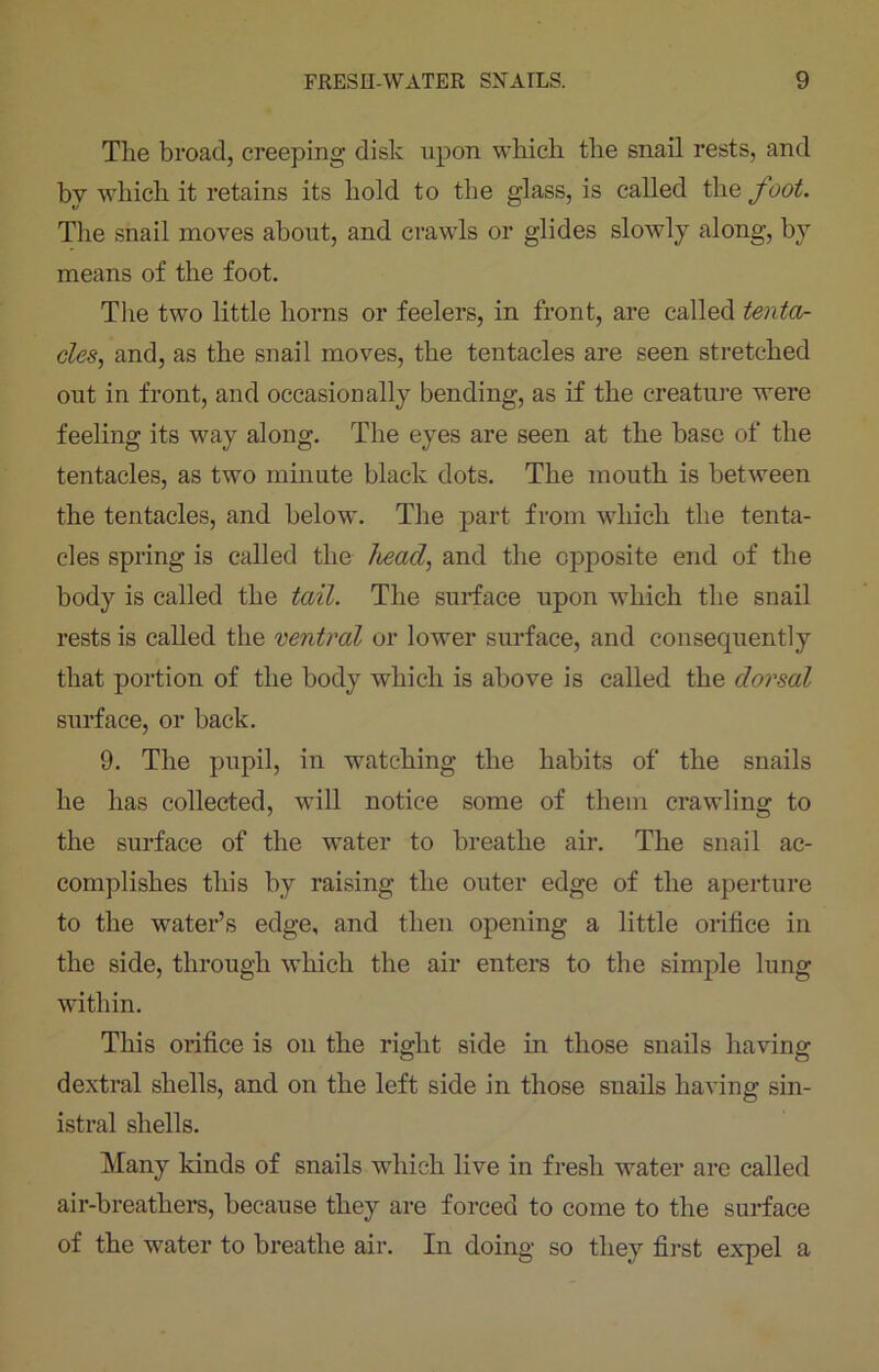 The broad, creeping disk upon which the snail rests, and by which it retains its hold to the glass, is called the foot. The snail moves about, and crawls or glides slowly along, by means of the foot. The two little horns or feelers, in front, are called tenta- cles, and, as the snail moves, the tentacles are seen stretched out in front, and occasionally bending, as if the creature were feeling its way along. The eyes are seen at the base of the tentacles, as two minute black dots. The mouth is between the tentacles, and below. The part from which the tenta- cles spring is called the head, and the opposite end of the body is called the tail. The surface upon which the snail rests is called the ventral or lower surface, and consequently that portion of the body which is above is called the dorsal surface, or back. 9. The pupil, in watching the habits of the snails he has collected, will notice some of them crawling to the surface of the water to breathe air. The snail ac- complishes this by raising the outer edge of the aperture to the water’s edge, and then opening a little orifice in the side, through which the air enters to the simple lung within. This orifice is on the right side in those snails having dextral shells, and on the left side in those snails having sin- istral shells. Many kinds of snails which live in fresh water are called air-breathers, because they are forced to come to the surface of the water to breathe air. In doing so they first expel a