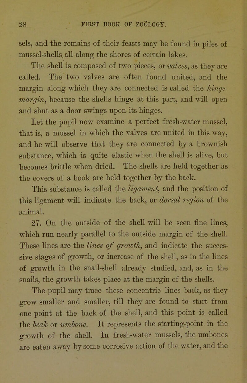 sels, and the remains of their feasts may he found in piles of mussel-shells^all along the shores of certain lakes. The shell is composed of two pieces, or valves, as they are called. The two valves are often found united, and the margin along which they are connected is called the lunge- margin, because the shells hinge at this part, and will open and shut as a door swings upon its hinges. Let the pupil now examine a perfect fresh-water mussel, that is, a mussel in which the valves are united in this way, and he will observe that they are connected by a brownish substance, which is quite elastic when the shell is alive, but becomes brittle when dried. The shells are held together as the covers of a book are held together by the back. This substance is called the ligament, and the position of this ligament will indicate the back, or dorsal region of the animal. 27. On the outside of the shell will be seen fine lines, which run nearly parallel to the outside margin of the shell. These lines are the lines of growth, and indicate the succes- sive stages of growth, or increase of the shell, as in the lines of growth in the snail-shell already studied, and, as in the 6nails, the growth takes place at the margin of the shells. The pupil may trace these concentric lines back, as they grow smaller and smaller, till they are found to start from one point at the back of the shell, and this point is called the beak or undone. It represents the starting-point in the growth of the shell. In fresh-water mussels, the umbones are eaten away by some corrosive action of the water, and the
