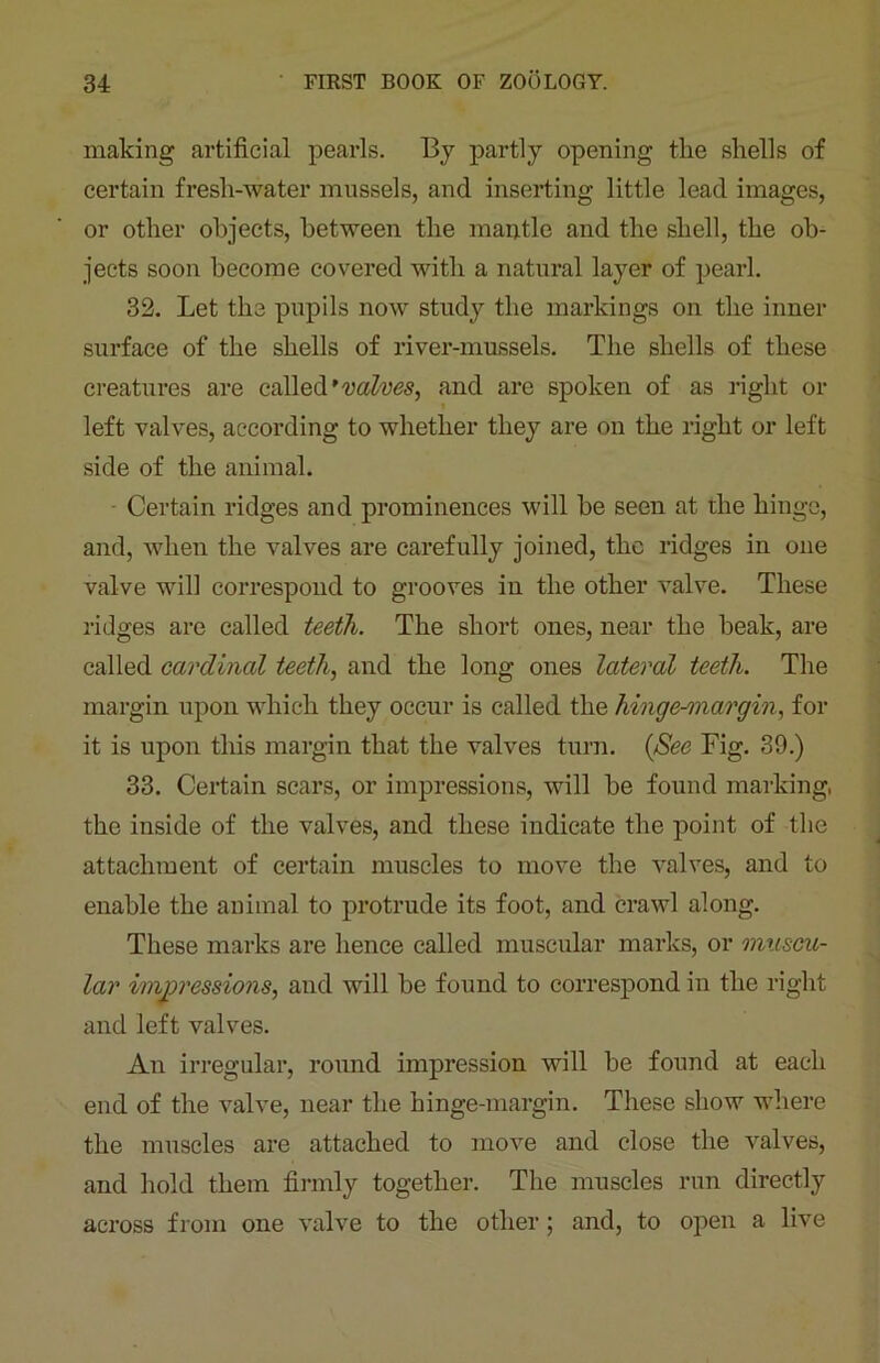 making artificial pearls. By partly opening the shells of certain fresh-water mussels, and inserting little lead images, or other objects, between the mantle and the shell, the ob- jects soon become covered with a natural layer of pearl. 32. Let the pupils now study the markings on the inner surface of the shells of river-mussels. The shells of these creatures are called 'valves, and are spoken of as right or left valves, according to whether they are on the right or left side of the animal. Certain ridges and prominences will be seen at the hinge, and, when the valves are carefully joined, the ridges in one valve will correspond to grooves in the other valve. These ridges are called teeth. The short ones, near the beak, are called cardinal teeth, and the long ones lateral teeth. The margin upon which they occur is called the hinge-margin, for it is upon this margin that the valves turn. (See Fig. 39.) 33. Certain scars, or impressions, will be found marking, the inside of the valves, and these indicate the point of the attachment of certain muscles to move the valves, and to enable the animal to protrude its foot, and crawl along. These marks are hence called muscular marks, or muscu- lar impressions, and will be found to correspond in the right and left valves. An irregular, round impression will be found at each end of the valve, near the hinge-margin. These show where the muscles are attached to move and close the valves, and hold them firmly together. The muscles run directly across from one valve to the other; and, to open a live
