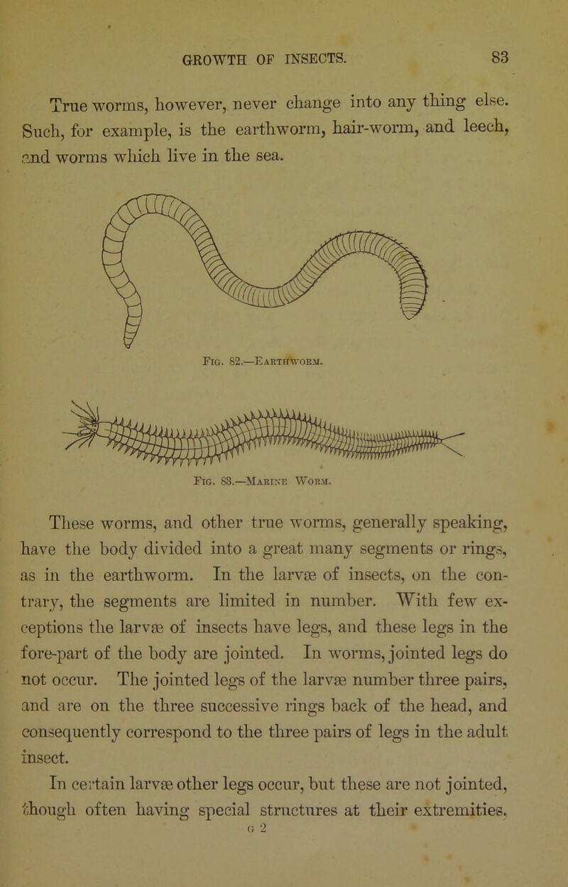 True worms, however, never change into any thing else. Such, for example, is the earthworm, hair-worm, and leech, and worms which live in the sea. Fig. S3.—Marine Worm. These worms, and other true worms, generally speaking, have the body divided into a great many segments or rings, as in the earthworm. In the larvae of insects, on the con- trary, the segments are limited in number. With few ex- ceptions the larvae of insects have legs, and these legs in the fore-part of the body are jointed. In worms, jointed legs do not occur. The jointed legs of the larvae number three pairs, and are on the three successive rings back of the head, and consequently correspond to the three pairs of legs in the adult insect. In certain larvae other legs occur, but these are not jointed, though often having special structures at their extremities.