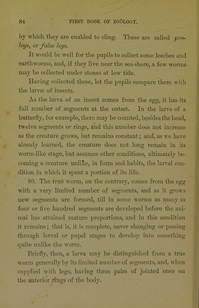 by which they are enabled to cling. These are called -pro- legs, or false legs. It would be well for the pupils to collect some leeches and earthworms, and, if they live near the sea-shore, a few worms may be collected under stones at low tide. Having collected these, let the pupils compare them with the larvae of insects. As the larva of an insect comes from the egg, it has its full number of segments at the outset. In the larva of a butterfly, for example, there may be counted, besides the head, twelve segments or rings, and this number does not increase as the creature grows, but remains constant; and, as we have already learned, the creature does not long remain in its worm-like stage, but assumes other conditions, ultimately be- coming a creature unlike, in form and habits, the larval con- dition in which it spent a portion of its life. 80. The true worm, on the contrary, comes from the egg with a very limited number of segments, and as it grows new segments are formed, till in some worms as many as four or five hundred segments are developed before the ani- mal has attained mature proportions, and in this condition it remains ; that is, it is complete, never changing or passing through larval or pupal stages to develop into something quite unlike the worm. Briefly, then, a larva may be distinguished from a true worm generally by its limited number of segments, and, when supplied with legs, having three pairs of jointed ones on the anterior rings of the body.