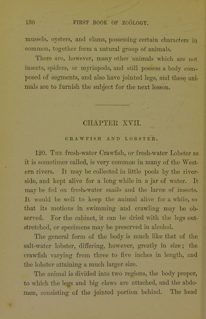 mussels, oysters, and clams, possessing certain characters in common, together form a natural group of animals. There are, however, many other animals which are not insects, spiders, or myriapods, and still possess a body com- posed of segments, and also have jointed legs, and these ani- mals are to furnish the subject for the next lesson. CHAPTER XVII. CRAWFISH AND LOBSTER. 120. Tnn fresh-water Crawfish, or fresh-water Lobster as it is sometimes called, is very common in many of the West- ern rivers. It may be collected in little pools by the river- side, and lcept alive for a long while in a jar of water. It may be fed on fresh.-water snails and the larvae of insects. It would be well to keep the animal alive for a while, so that its motions in swimming and crawling may be ob- served. Eor the cabinet, it can be dried with the legs out- stretched, or specimens may be preserved in alcohol. The general form of the body is much like that of the salt-water lobster, differing, however, greatly in size; the crawfish varying from three to five inches in length, and the lobster attaining a much larger size. The animal is divided into two regions, the body proper, to which the legs and big claws are attached, and the abdo- men, consisting of the jointed portion behind. The head