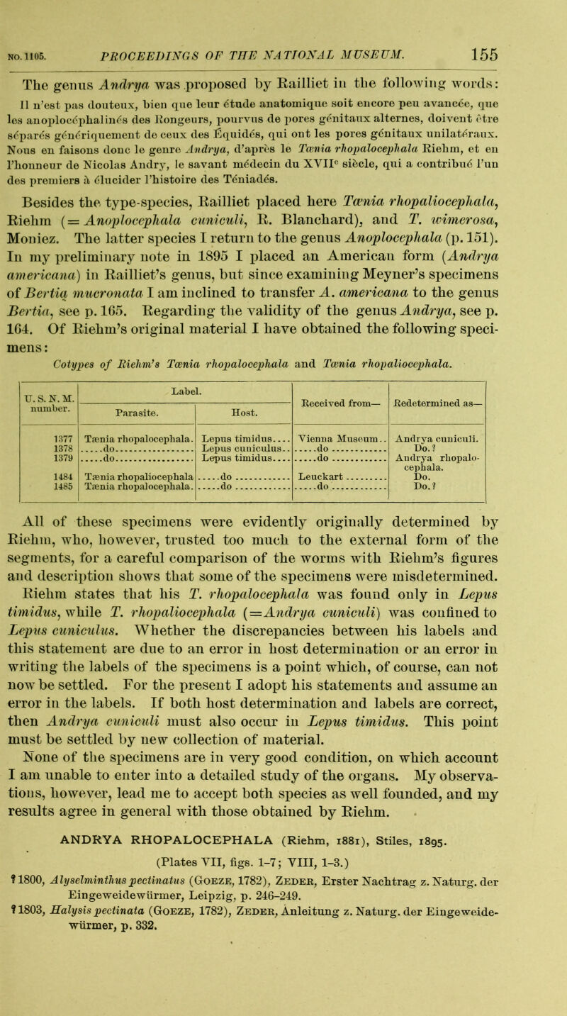 The genus Andrya was proposed by Railliet in the following words: II n’est pas douteux, bien que leur tftude anatomique soit encore peu avancde, que les anoploc6phalinds des Rongeurs, pourvus de i>ores gdnitaux alternes, doivent etre sdpares gdndriquement de ceux des Equidds, qui out les pores gdnitaux unilat^raux. Nous en faisous done le genre Andrya, d’apres le Taenia rhopalocephala Riehm, et en l’honneur de Nicolas Andry, le savant mddecin du XVIIe sikcle, qui a contribu6 Tun des premiers & dlucider l’histoire des Teniad^s. Besides the type-species, Railliet placed here Taenia rhopaliocephala, Riehm (= Anoplocephala cuniculi, R. Blanchard), and T. winnerosa, Moniez. The latter species I return to the genus Anoplocephala (p. 151). In my preliminary note in 1895 I placed an American form (Andrya americana) in Railliet’s genus, but since examining Meyner’s specimens of Bertia mucronata I am inclined to transfer A. americana to the genus Bertia, see p. 165. Regarding the validity of the genus Andrya, see p. 164. Of Riehm’s original material I have obtained the following speci- mens: Cotypes of Riehm’s Taenia rhopalocephala and Taenia rhopaliocephala. u. s. N. M. Label. Received from— Redetermined as— number. Parasite. Host. 1377 1378 Taenia rhopalocephala. _flo Lepus timidus Lepus cuniculus.. Vienna Museum.. do Andrva cuniculi. Do.? 1379 do Lepus timidus do Andrya rhopalo- cephala. Do. 1484 Taenia rhopaliocephala Taenia rhopalocephala. do Le neb art 1485 do do Do.? All of these specimens were evidently originally determined by Riehm, who, however, trusted too much to the external form of the segments, for a careful comparison of the worms with Riehm’s figures and description shows that some of the specimens were misdetermined. Riehm states that his T. rhopalocephala was found only in Lepus timidus, while T. rhopaliocephala (=Andrya cuniculi) was confined to Lepus cuniculus. Whether the discrepancies between his labels and this statement are due to an error in host determination or an error in writing the labels of the specimens is a point which, of course, can not now be settled. For the present I adopt his statements and assume an error in the labels. If both host determination and labels are correct, then Andrya cuniculi must also occur in Lepus timidus. This point must be settled by new collection of material. Hone of the specimens are in very good condition, on which account I am unable to enter into a detailed study of the organs. My observa- tions, however, lead me to accept both species as well founded, and my results agree in general with those obtained by Riehm. ANDRYA RHOPALOCEPHALA (Riehm, 1881), Stiles, 1895. (Plates VII, figs. 1-7; VIII, 1-3.) ?1800, Alyselminthuspectinatus (Goeze, 1782), Zeder, Erster Nachtrag z. Naturg. der Eingeweidewiirmer, Leipzig, p. 246-249. ?1803, Halysis pectinata (Goeze, 1782), Zeder, Anleitung z. Naturg. der Eingeweide- wiirmer, p. 332.