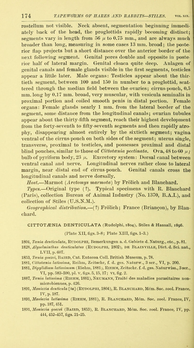rostellum not visible. Keck absent, segmentation beginning immedi- ately back of the head, the proglottids rapidly becoming distinct; segments vary in length from 56 jjl to 0.75 mm.? and are always much broader than long, measuring in some cases 13 mm. broad; the poste- rior flap projects but a short distance over the anterior border of the next following segment. Genital pores double and opposite iu poste- rior half of lateral margin. Genital cloaca quite deep. Anlagen of genital canals and female glands visible in the first segments, testicles appear a little later. Male organs: Testicles appear about the thir- tieth segment, between 100 and 150 in number to a proglottid, scat- tered through the median field between the ovaries; cirrus-pouch, 0.5 mm. long by 0.17 mm. broad, very muscular, with vesicula seminalis in proximal portion and coiled smooth penis in distal portion. Female organs: Female glands nearly 1 mm. from the lateral border of the segment, some distance from the longitudinal canals; ovarian tubules appear about the thirty-fifth segment, reach their highest development from the forty-seventh to fifty-seventh segments and then rapidly atro- phy, disappearing almost entirely by the sixtieth segment; vagina ventral of the cirrus-pouch on both sides of the segment; uterus single, transverse, proximal to testicles, and possesses proximal and distal blind pouches, similar to those of Cittotcenia pectinata. Ova, 48 to 60 p ; bulb of pyriform body, 23 p. Excretory system: Dorsal canal between ventral canal and nerve. Longitudinal nerves rather close to lateral margin, near distal end of cirrus-pouch. Genital canals cross the longitudinal canals and nerve dorsally. Host.—Marmot (Arctomys marmota) by Frolich and Blanchard. Types.—Original type (?). Typical specimens with R. Blanchard (Paris), collection Bureau of Animal Industry (Ko. 1370, B.A.I.), and collection of Stiles (U.S.N.M.). Geographical distribution.—(?) Frolich; France (Brian^on), by Blan- chard. CITTOTiENIA DENTICULATA (Rudolphi, 1804), Stiles & Hassall, 1896. (Plate XII, figs. 3-8; Plate XIII, figs. 1-3.) 1804, Tcenia denticulata, Rudolphi, Bemerkungen a. d. Gebiete d. Naturg., etc., p. 81. 1828, Alyselminthus denticulatus (Rudolphi, 1802), de Blainville, Diet. d. Sci. nat., LVII, p. 607. 1853, Tcenia goezei, Baird, Cat. Entozoa Coll. British Museum, p. 78. 1881, Cittotcenia latissima, Reihm, Zeitschr, f. d. ges. Naturw., 3 ser., VI, p. 200. 1881, Dipylidium latissimum (Riehm, 1881), Riehm, Zeitschr. f. d. ges. Naturwiss., 3 ser., VI, pp. 583-590, pi. v, figs. 5,15,17; vi, fig. 2. 1887, Tcenia latissima (Riehm, 1881), Neumann, Trait6 des maladies parasitaires non- microbiennes, p. 426. 1891, Moniezia denticula \ta] (Rudolphi, 1804), R. Blanchard, M6m. Soc. zool. France, IV, p. 187. 1891, Moniezia latissima (Riehm, 1881), R. Blanchard, M6m. Soc. zool. France, IV, pp. 187, 451. 1891, Moniezia goezei (Baird, 1853), R. Blanchard, M6m. Soc. zool. France, IV, pp. 444,452-457, figs. 21-25.
