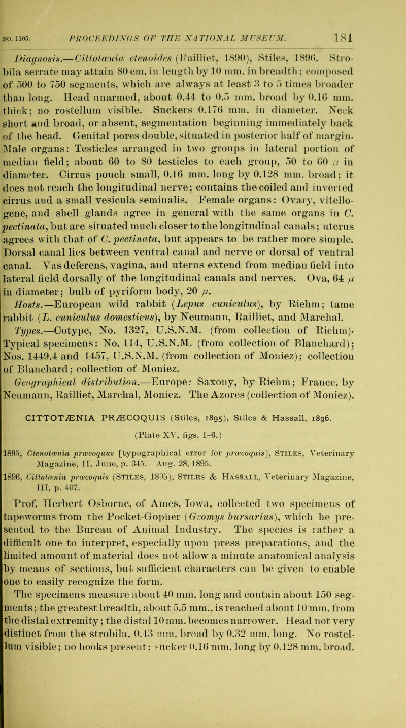 Diagnosis.—Cittotcenia ctenoides (Railliet, 1890), Stiles, 1890. Stro- bila serrate may attain 80 cm. in length by 10 mm. in breadth; composed of 500 to 750 segments, which are always at least 3 to 5 times broader than long. Head unarmed, about 0.44 to 0.5 mm. broad by 0.10 mm. thick; no rostellum visible. Suckers 0.L7G ram. in diameter. Neek short and broad, or absent, segmentation beginning immediately back of the head. Genital pores double, situated in posterior half of margin. Male organs: Testicles arranged in two groups in lateral portion of median field; about 00 to 80 testicles to each group, 50 to GO n in diameter. Cirrus pouch small, 0.10 mm. long by 0.128 mm. broad; it does not reach the longitudinal nerve; contains the coiled and inverted cirrus and a small vesicula seminalis. Female organs: Ovary, vitello- gene, and shell glands agree in general with the same organs in 0. pectinata, but are situated much closer to the longitudinal canals; uterus agrees with that of C. pectinata, but appears to be rather more simple. Dorsal canal lies between ventral canal and nerve or dorsal of ventral canal. Yas deferens, vagina, and uterus extend from median field into lateral field dorsally of the longitudinal canals and nerves. Ova, 04 p in diameter; bulb of pyriform body, 20 p. Hosts.—European wild rabbit (Lepus cuniculus), by Riehm; tame rabbit (L. cuniculus domesticus), by Neumann, Railliet, and Marchal. Types.—Cotype, No. 1327, U.S.N.M. (from collection of Riehm). Typical specimens: No. 114, U.S.N.M. (from collection of Blanchard); Nos. 1449.4 and 1457, U.S.N.M. (from collection of Moniez); collection of Blanchard; collection of Moniez. Geographical distribution.—Europe: Saxony, by Riehm; France, by Neumann, Railliet, Marchal, Moniez. The Azores (collection of Moniez). CITTOTiENIA PRiECOQUIS (Stiles, 1895), Stiles & Hassall, 1896. (Plate XV, figs. 1-6.) 1895, Ctenotcenia prcecoquus [typographical error for prcecoquis'], Stiles, Veterinary Magazine, II, June, p. 345. Aug. 28,1895. 1896, Cittotcenia prcecoquis (Stiles, 1895), Stiles & Hassall, Veterinary Magazine, III, p. 407. Prof. Herbert Osborne, of Ames, Iowa, collected two specimens of tapeworms from the Pocket-Gopher (Gcomys bursarius), which he pre- sented to the Bureau of Animal Industry. The species is rather a difficult one to interpret, especially upon press preparations, aud the limited amount of material does not allow a minute anatomical analysis by means of sections, but sufficient characters can be given to enable one to easily recognize the form. The specimens measure about 40 mm. long and contain about 150 seg- ments ; the greatest breadth, about 5.5 mm., is reached about 10 mm. from the distal extremity; the distal 10 mm. becomes narrower. Head not very distiuct from the strobila, 0.43 mm. broad by 0.32 mm. long. No rostel- lum visible; no hooks present; sucker 0.10 mm. long by 0.128 mm. broad.