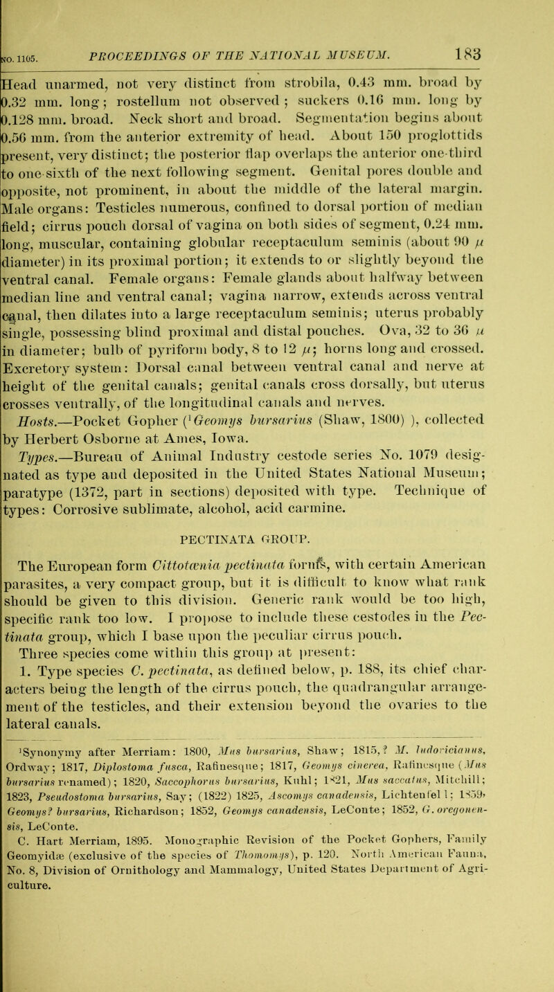 Head unarmed, not very distinct from strobila, 0.43 mm. broad by 0.32 mm. long; rostellum not observed; suckers 0.1G mm. long by 0.128 mm. broad. .Neck short and broad. Segmentation begins about 0.56 mm. from the anterior extremity of head. About 150 proglottids present, very distinct; the posterior flap overlaps the anterior one-third to one sixth of the next following segment. Genital pores double and opposite, not prominent, in about the middle of the lateral margin. Male organs: Testicles numerous, confined to dorsal portion of median field; cirrus pouch dorsal of vagina on both sides of segment, 0.24 mm. long, muscular, containing globular receptaculum seminis (about 90 p diameter) in its proximal portion; it extends to or slightly beyond the ventral canal. Female organs: Female glands about halfway between median line and ventral canal; vagina narrow, extends across ventral espial, then dilates into a large receptaculum seminis; uterus probably single, possessing blind proximal and distal pouches. Ova, 32 to 36 p in diameter; bulb of pyriform body, 8 to 12 yu; horns long and crossed. Excretory system: Dorsal canal between ventral canal and nerve at height of the genital canals; genital canals cross dorsally, but uterus crosses ventrally, of the longitudinal canals and nerves. Hosts.—Pocket Gopher (1 Geomys bursarius {Shaw, 1800) ), collected by Herbert Osborne at Ames, Iowa. Types.—Bureau of Animal Industry cestode series No. 1079 desig- nated as type and deposited in the United States National Museum; paratype (1372, part in sections) deposited with type. Technique of types: Corrosive sublimate, alcohol, acid carmine. PECTINATA GROUP. The European form Cittotcenia pectinata fornfs, with certain American parasites, a very compact group, but it is difficult to know what rank should be given to this division. Generic rank would be too high, specific rank too low. I propose to include these cestocles in the Pec- tinata group, which I base upon the peculiar cirrus pouch. Three species come within this group at present: 1. Type species C. pectinata, as defined below, p. 188, its chief char- acters being the length of the cirrus pouch, the quadrangular arrange- ment of the testicles, and their extension beyond the ovaries to the lateral canals. Synonymy after Merriam: 1800, Miis bursarius, Shaw; 1815,? M. ludoeidanus, Orclway; 1817, Diplostoma fusca, Rafinesque; 1817, Geomys cinerea, Rafinesque (Mas bursarius renamed); 1820, Saccophorus bursarius, Kuhl; 1821, Mus saccatus, Mitchill; 1823, Pseudostoma bursarius, Say; (1822) 1825, Ascomys canadensis, Lichten fel 1; 1859> Geomys? bursarius, Richardson; 1852, Geomys canadensis, LeConte; 1852, G.oregonen- sis, LeConte. C. Hart Merriam, 1895. Monographic Revision of the Pocket Gophers, Family Geomyidse (exclusive of the species of Thomomys), p. 120. North American Fauna, No. 8, Division of Ornithology and Mammalogy, United States Department of Agri- culture.