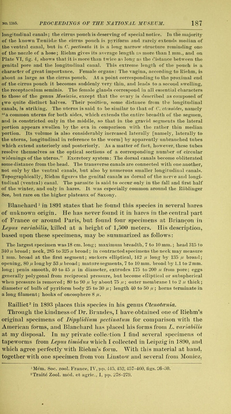 longitudinal canals; the cirrus pouch is deserving of special notice. In the majority of the known Taeniidae the cirrus pouch is pyriform and rarely extends median of the ventral canal, hut in C. pectinata it is a long narrow structure reminding one of the nozzle of a hose; Riehm gives its average length as more than 1 mm., and on Plate VI, tig. 4, shows that it is more than twice as long as the distance between the genital pore and the longitudinal canal. This extreme length of the pouch is a character of great importance. Female organs: The vagina, according to Riehm, is about as large as the cirrus pouch. At a point corresponding to the proximal end of the cirrus pouch it becomes suddenly very thin, and leads to a second swelling, the receptaculum seminis. The female glands correspond in all essential characters to those of the genus Moniezia, except that the ovary is described as composed of ■fcwo quite distinct halves. Their position, some distance from the longitudinal canals, is striking. The uterus is said to be similar to that of C. ctcnoides, namely “a common uterus for both sides, which extends the entire breadth of the segmen, and is constricted only in the middle, so that in the gravid segments the lateral portion appears swollen by the ova in comparison with the rather thin median portion. Its volume is also considerably increased laterally [namely, laterally to the uterus, longitudinal in reference to the worm] by apparently unbranched tubes which extend anteriorly and posteriori}7'. As a matter of fact, however, these tubes resolve themselves as the optical sections of a corresponding number of circular widenings of the uterus.” Excretory system: The dorsal canals become obliterated some distance from the head. The transverse canals are connected with one another, not only by the ventral canals, but also by numerous smaller longitudinal canals. Topographically, Riehm figures the genital canals as dorsal of the nerve and longi- tudinal (ventral) canal. Tho parasite is said to occur only in the fall and first half of the winter, and only in hares. It was especially common around the Roblinger See, but rare on the higher plateaux of Saxony. Blanchard1 in 1891 states that he found this species in several hares of unknown origin. He has never found it in hares in the central part of France or around Paris, but found four specimens at Briancon in Lepus variabilis, killed at a height of 1,500 meters. His description, based upon these specimens, may be summarized as follows: The largest specimen was 18 cm. long; maximum breadth, 7 to 10 mm.; head 315 to 340 /i broad; neck, 285 to 325 jj, broad; in contracted specimens the neck may measure 1 mm. broad at the first segment; suckers elliptical, 142 ju long by 135 ji broad; opening, 80 fi long by 53 p broad; mature segments, 7 to 10 mm. broad by 1.1 to 2 mm. long; penis smooth, 40 to 45 ju in diameter, extrudes 175 to 200 u from pore; eggs generally polygonal from reciprocal pressure, but become elliptical or subspherical when pressure is removed; 80 to 90 /< by about 75 ju ; outer membrane 1 to 2 u thick; diameter of bulb of pyriform body 25 to 30 p ; length 40 to 50 p ; horns terminate in a long filament; hooks of oncosphere 8 /*. Bailliet2 in 1893 f>laces this species in his genus Ctenotccnia. Through the kindness of Dr. Brandes, I have obtained one of Riehin’s original specimens of Dipylidium pectination for comparison with the American forms, and Blanchard has placed his forms from L. variabilis at my disposal. In my private collection I find several specimens of tapeworms from Lepus timidus which I collected in Leipzig in 1890, and which agree perfectly with Riehnrs form. With this material at hand, together with one specimen from von Linstow and several from Moniez. 1 Mem. Soc. zool. France, IV, pp. 445, 452, 457-460, figs. 26-30. 2Traite Zool. rned. efc agric., I, pp. 278-279.