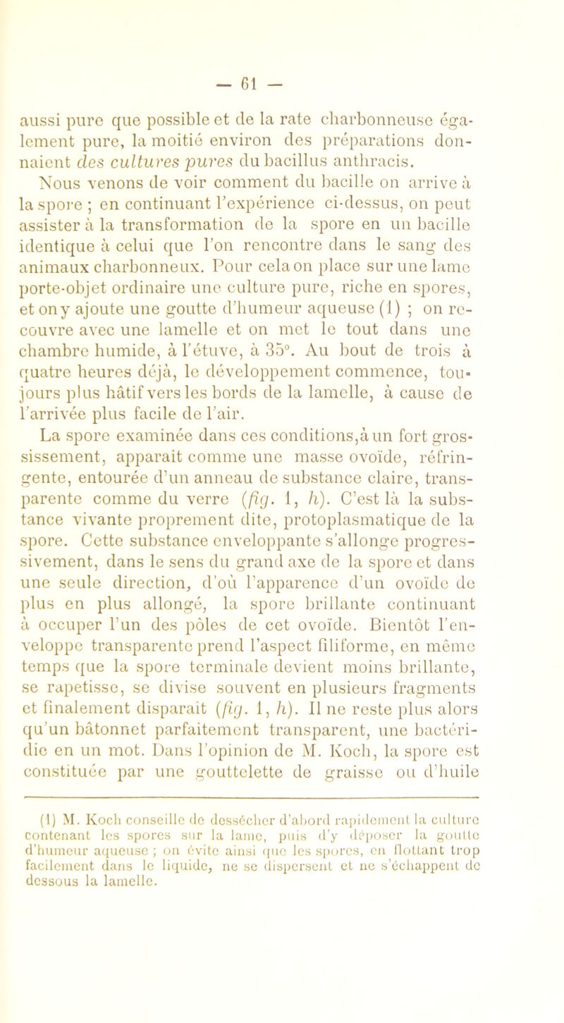 aussi pure que possible et de la rate charbonneuse éga- lement pure, la moitié environ des préparations don- naient des cultures pures dubacillus anthracis. Nous venons de voir comment du bacille on arrive à la spore; en continuant l’expérience ci-dessus, on peut assister à la transformation de la spore en un bacille identique à celui que l’on rencontre dans le sang des animaux charbonneux. Pour cela on place sur une lame porte-objet ordinaire une culture pure, riche en spores, et on y ajoute une goutte d’humeur aqueuse (1) ; on re- couvre avec une lamelle et on met le tout dans une chambre humide, à l’étuve, à 35°. Au bout de trois à quatre heures déjà, le développement commence, tou- jours plus hâtif vers les bords de la lamelle, à cause de l’arrivée plus facile de l’air. La spore examinée dans ces conditions,à un fort gros- sissement, apparait comme une masse ovoïde, réfrin- gente, entourée d’un anneau de substance claire, trans- parente comme du verre (fig. 1, h). C’est là la subs- tance vivante proprement dite, protoplasmatique de la spore. Cette substance enveloppante s’allonge progres- sivement, dans le sens du grand axe de la spore et dans une seule direction, d’où l’apparence d’un ovoïde de plus en plus allongé, la spore brillante continuant à occuper l’un des pôles de cet ovoïde. Bientôt l’en- veloppe transparente prend l’aspect filiforme, en même temps que la spore terminale devient moins brillante, se rapetisse, se divise souvent en plusieurs fragments et finalement disparaît (fig. 1, h). Il ne reste plus alors qu’un bâtonnet parfaitement transparent, une bactéri- die en un mot. Dans l’opinion de M. Koch, la spore est constituée par une gouttelette de graisse ou d’huile (1) M. Koch conseille de dessécher d’abord rapidement la culture contenant les spores sur la lame, puis d’y déposer la goutte d’humeur aqueuse ; on évite ainsi que les spores, en flottant trop facilement dans le liquide, ne se dispersent et ne s’échappent de dessous la lamelle.