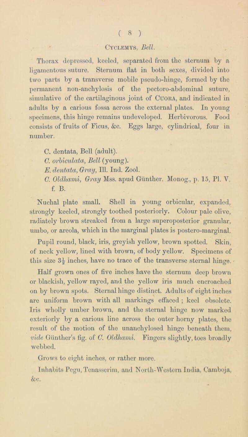 CvCLEMYS, Bell. Thorax depressed, keeled, separated from the sternum by a lio-ameiitous suture. Sternum flat in both sexes, divided into two parts by a transverse mobile pseudo-hinge, formed by the permanent non-anchylosis of the pectoro-abdominal suture, simulative of the cartilaginous joint of Cuora, and indicated in adults by a carious fossa across the external plates. In young specimens, this hinge remains undeveloped. Herbivorous. Food consists of fruits of Ficus, &c. Eggs large, cylindrical, four in number. C. dentata. Bell (adult). C. orhiculata, Bell (young). E. dentata, Gray, 111. Ind. Zool. G. Oldhami, Gray Mss. apud Gunther. Monog., p. 15, PI. V. f. B. Nuchal plate small. Shell in young orbicular, expanded, strongly keeled, strongly toothed posteriorly. Colour pale olive, radiately brown streaked from a large superoposterior granular, umbo, or areola, which in the marginal plates is postero-marginal. Pupil round, black, iris, greyish yellow, brown spotted. Skin, of neck yellow, lined with brown, of body yellow. Specimens of this size 3-^ inches, have no trace of the transverse sternal hinge. - Half grown ones of five inches have the sternum deep brown or blackish, yellow rayed, and the yellow iris much encroached on by brown spots. Sternal hinge distinct. Adults of eight inches are uniform brown with all markings effaced ; keel obsolete. Iris wholly umber brown, and the sternal hinge now marked exteriorly by a carious line across the outer horny plates, the result of the motion of the unanchylosed hinge beneath them, vide Giinther’s fig. of C. Oldhami. Fingers slightly, toes broadly webbed. Grows to eight inches, or rather more. Inhabits Pegu, Tcnasscrim, and North-Western India, Camboja, &c.