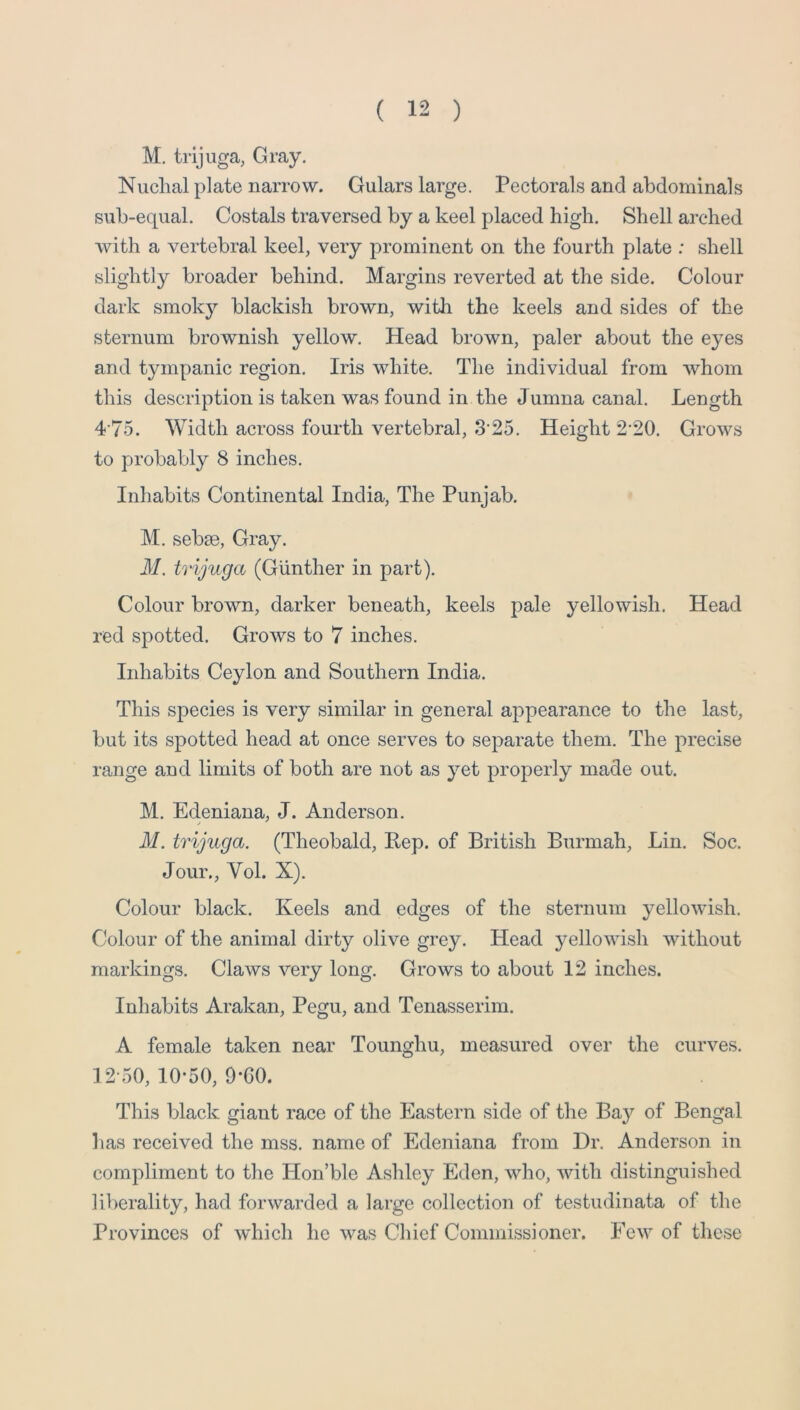 M. tnjuga, Gray. Nuchal plate narrow. Gulars large. Pectorals and abdominals sub-equal. Costals traversed by a keel placed high. Shell arched with a vertebral keel, very prominent on the fourth plate ; shell slightly broader behind. Margins reverted at the side. Colour dark smoky blackish brown, with the keels and sides of the sternum brownish yellow. Head brown, paler about the eyes and tympanic region. Iris white. The individual from whom this description is taken was found in the Jumna canal. Length 4 75. Width across fourth vertebral, 3'25. Height 2*20. Grows to probably 8 inches. Inhabits Continental India, The Punjab. M. sebse, Gray. M. tvijuga (Gunther in part). Colour brown, darker beneath, keels pale yellowish. Head red spotted. Grows to 7 inches. Inhabits Ceylon and Southern India. This species is very similar in general appearance to the last, but its spotted head at once serves to separate them. The precise range and limits of both are not as yet properly made out. M. Edeniana, J. Anderson. M. tvijuga. (Theobald, Rep. of British Burmah, Lin. Soc. Jour., VoL X). Colour black. Keels and edges of the sternum yellowish. Colour of the animal dirty olive grey. Head yellowish without markings. Claws very long. Grows to about 12 inches. Inhabits Arakan, Pegu, and Tenasserim. A female taken near Tounghu, measured over the curves. 12-50, 10-50, 9-60. This black giant race of the Eastern side of the Bay of Bengal has received the mss. name of Edeniana from Dr. Anderson in compliment to the Hon’ble Ashley Eden, who, with distinguished liberality, had forwarded a large collection of testudinata of the Provinces of which he was Chief Commissioner. Few of these