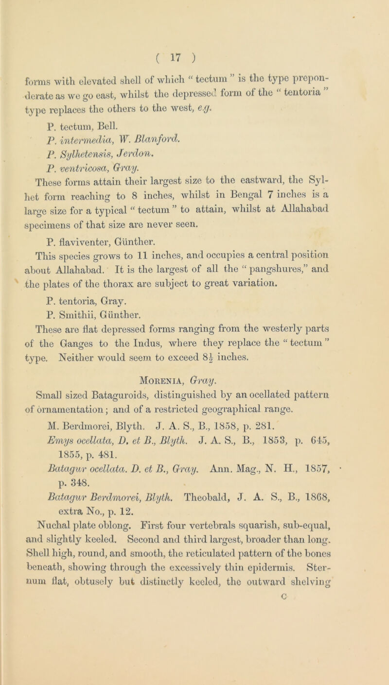 forms with elevated shell of which “tectum is the type piepon- derate as we go east, whilst the depressec. form of the teiitoiia type replaces the others to the west, e.g. P. tectum. Bell, P. intermedia, W. Blanford. F. Sylhetensis, Jerdon. F. ventricosa, Gray. These forms attain their largest size to the eastward, the Syl- liet form reaching to 8 inches, whilst in Bengal 7 inches is a large size for a typical “ tectum ” to attain, whilst at Allahabad specimens of that size are never seen. P. flaviventer, Gunther. This species grows to 11 inches, and occupies a central position about Allahabad. It is the largest of all the “ pangshures,” and ' the plates of the thorax are subject to great variation. P. tentoria. Gray. P. Smithii, Gunther. These are flat depressed forms ranging from the westerly parts of the Ganges to the Indus, where they replace tlie “ tectum ” type. Neither would seem to exceed inches. Morenia, Gray. Small sized Bataguroids, distinguished by an ocellated pattern of ornamentation; and of a restricted geographical range. M. Berdmorei, Blyth. J. A. S., B., 1858, p. 281. Emys ocellata, D, et B., Blyth. J. A. S,, B., 1853, p. 645, 1855, p. 481. Batagur ocellata. D. et B., Gray. Ann. Mag., N. H,, 1857, p. 348. Batagur Berdmorei, Blyth. Theobald, J. A. S., B., 1868, extra No., p. 12. Nuchal plate oblong. First four vertebrals squarish, sub-equal, and slightly keeled. Second and third largest, broader than long. Shell high, round, and smooth, the reticulated pattern of the bones beneath, showing through the excessively thin epidermis. Ster- num Hat, obtusely but distinctly keeled, the outward shelving c