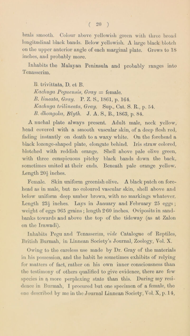 brals smooth. Colour above yellowish green with three broad longitudinal black bands. Below yellowish. A lai-ge black blotch on the upper anterior angle of each marginal plate. Grows to 18 inches, and probably more. Inhabits the Malayan Peninsula and probably ranges into Tenasserim. B. trivittata, D. et B. Kachuga Peguensis, Gray = female. B. lineata, Gray. P. Z. S., 18G1, p. 164. Kachuga trilineata, Gray. Sup., Cat. S. R., p. 54. B. dhongoha, Blyth. J. A. S., B., 1863, p. 84. A nuchal plate always present. Adult male, neck yellow, head covered with a smooth vascular skin, of a deep flesh red, fading instantly on death to a waxy white. On the forehead a black lozenge-shaped plate, elongate behind. Iris straw colored, blotched with reddish orange. Shell above pale olive green, Avith three conspicuous pitchy black bands down the back, sometimes united at their ends. Beneath pale orange yellow. Length 20i inches. Female. Skin uniform greenish olive. A black patch on fore- head as in male, but no coloured vascular skin, shell above and below uniform deep umber brown, Avith no markings AvhateAmr, Length 23|- inches. Lays in January and February 25 eggs ; Aveight of eggs 965 grains ; length 2’60 inches. Oviposits in sand- banks toAvards and above the top of the tideway (as at Zalon on the Ira wadi). Inhabits Pegu and Tenasserim, vide Catalogue of Reptiles, British Burmah, in Linnean Society’s Journal, Zoology, Vol. X. OAving to the careless use made by Dr. Gray of the materials in his posse.ssion, and the habit he sometimes exhibits of relying for matters of fact, rather on his OAvn inner consciousness than the testimony of others (pialified to give evidence, there arc fcAv species in a more perplexing state than this. During my resi- dence in Burmah, I procured but one speciinen of a female, the one described by me in the Journal Linnean Society, Vol. X, p. 14,