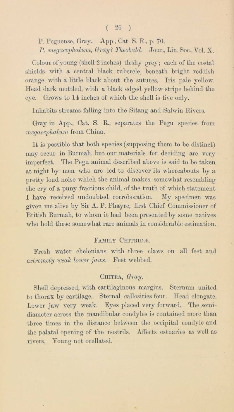 P. Pegueuse, Gray. App., Cat. S. R., p. 70. F, megaceijhaLum, Gray'I Theobald. Jour., Lin. Soc., Vol. X. Colour of young (shell 2 inches) fleshy grey; each of the costal shields with a central black tubercle, beneath bright reddish orange, with a little black about the sutures. Iris pale yellow. Head dark mottled, with a black edged yellow stripe behind the eye. Grows to 14 inches of which the shell is five only. Inhabits streams falling into the Sitang and Salwin Rivers. Gray in App., Cat. S. R., separates the Pegu species from megacejyhalum from China. It is possible that both species (supposing them to be distinct) may occur in Burmah, but our materials for deciding are very imperfect. The Pegu animal described above is said to be taken, at night by men who are led to discover its whereabouts by a pretty loud noise which the animal makes somewhat resembling the cry of a puny fractious child, of the truth of which statement I have received undoubted corroboration. My specimen was given me alive by Sir A. P. Phayre, first Chief Commissioner of British Burmah, to whom it had been presented by some natives who hold these somewhat rare animals in considerable estimation. Family Chitrid/e. Fresh water chelonians with three claws on all feet and extremely ^veah loiver jaivs. Feet webbed. Chitra, Gray. Shell depressed, with cartilaginous margins. Sternum united to thorax by cartilage. Sternal callosities four. Head elongate. Lower jaw very weak. Eyes placed very forward. The semi- diameter across the mandibular condyles is contained more than three times in the distance between the occipital condyle and the palatal opening of the nostrils. Affects estuaries as well as rivers. Young not ocellated.