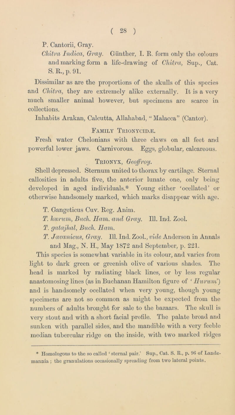 P. Cantorii, Gray. Cliitra Indica, Gray, Giiiither, I. R. form only the colours and marking form a life-drawing of Chitra, Sup., Cat. S. R., p. 91. Dissimilar as are the proportions of the skulls of this species and Chitra, they are extremely alike externally. It is a very much smaller animal however, but specimens are scarce in collections. Inhabits Arakan, Calcutta, Allahabad, “Malacca” (Cantor). Family Tuionycid^. Fresh water Chelonians with three claws on all feet and powerful lower jaws. Carnivorous. Eggs, globular, calcareous. Trionyx, Geoffroy. Shell depressed. Sternum united to thorax by cartilage. Sternal callosities in adults five, the anterior lunate one, only being developed in aged individuals,* Young either 'ocellated’ or otherwise handsomely marked, v/hich marks disappear with age. T. Gangeticus Cuv. Reg. Anim. T, hurum, Bach. Ham. and Gray. 111. Ind. Zool. T. gatajhal, Bach. Ham. T. Javanicus, Gray. 111. Ind. Zook, vide Anderson in Annals and Mag., N. H., May 1872 and September, p. 221. This species is somewhat variable in its colour, and varies from light to dark green or greenish olive of various shades. The head is marked by radiating black lines, or by less regular anastomosing lines (as in Buchanan Hamilton figure of ‘ Hurum’) and is handsomely ocellated when very young, though young specimens are not so common as might be expected from the numbers of adults brought for sale to the bazaars. The skull is very stout and with a short facial profile. The palate broad and sunken with parallel sides, and the mandible with a very feeble median tubercular ridge on the inside, with two marked ridges * Ilomolog'ous to the so called ‘ sternal pair.’ Sup., Cat. S. R., p. 06 of Lande- mannia ; the granulations occasionally spreading from two lateral points.