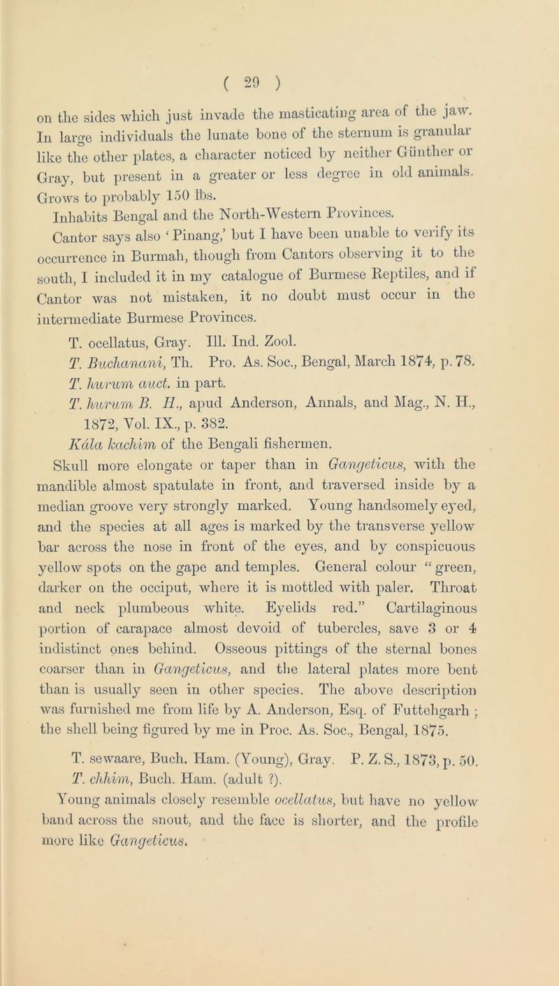 on the sides which just invade the masticating area of tlie jaw. In large individuals the lunate bone of the sternum is granular like the other plates, a character noticed by neither Gunther or Gray, but present in a greater or less degree in old animals. Grows to probably 150 lbs. Inhabits Bengal and the North-Western Provinces. Cantor says also ‘ Pinang,’ but I have been unable to verify its occurrence in Burmah, though from Cantors observing it to the south, I included it in my catalogue of Burmese Reptiles, and if Cantor was not mistaken, it no doubt must occur in the intermediate Burmese Provinces. T. ocellatus. Gray. 111. Ind. Zool. T. Buchanani, Th. Pro. As. Soc., Bengal, March 1874, p. 78. T. Jiurum auct. in part. T. hurum B. IL, apud Anderson, Annals, and Mag., N. H., 1872, Vol. IX., p. 382. Kdla kachim of the Bengali fishermen. Skull more elongate or taper than in Gangeticus, with the mandible almost spatulate in front, and traversed inside bj^ a median groove very strongly marked. Young handsomely eyed, and the species at all ages is marked by the transverse yellow bar across the nose in front of the eyes, and by conspicuous yellow spots on the gape and temples. General colour “ green, darker on the occiput, where it is mottled with paler. Throat and neck plumbeous white. Eyelids red.” Cartilaginous ]:»ortion of carapace almost devoid of tubercles, save 3 or 4 indistinct ones behind. Osseous pittings of the sternal bones coarser than in Gangeticus, and tlie lateral plates more bent than is usually seen in other species. The above description was furnished me from life by A. Anderson, Esq. of Futtehgarh ; the shell being figured by me in Proc. As. Soc., Bengal, 1875. T. sewaare, Buch. Ham. (Young), Gray. P. Z. S., 1873, p. 50. T. chJdm, Bach. Ham. (adult ?). Young animals closely resemble ocellatus, but have no yellow band across the snout, and the face is sliorter, and the profile more like Gangeticus.