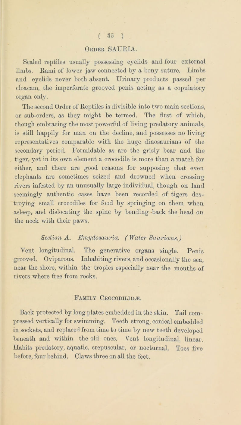 Order SAURIA. Scaled reptiles usually possessing eyelids and four external limbs. Rami of lower jaw connected by a bony suture. Limbs and eyelids never both absent. Urinary products passed per cloacam, the imperforate grooved penis acting as a copulatory organ only. The second Order of Reptiles is divisible into two main sections, or sub-orders, as they might be termed. The first of which, though embracing the most powerful of living predatory animals, is still happily for man on the decline, and possesses no living representatives comparable with the huge dinosaurians of the secondary period. Formidable as are the grisly bear and the tiger, yet in its own element a crocodile is more than a match for either, and there are good reasons for supposing that even elephants are sometimes seized and drowned when crossing rivers infested by an unusually large individual, though on land seemingly authentic cases have been recorded of tigers des- troying small crocodiles for food by springing on them when asleep, and dislocating the spine by bending -back the head on the neck with their paws. Section A, Emydosauria. (Water Sanrians.) Vent longitudinal. The generative organs single. Penis grooved. Oviparous. Inhabiting rivers, and occasionally the sea, near the shore, within the tropics especially near the mouths of rivers where free from rocks. Family Crocodilid.e. Back protected by long plates embedded in the skin. Tail com- pressed vertically for swimming. Teeth strong, conical embedded in sockets, and replace^! from time to time by new teeth developed beneath and within the old ones. Vent longitudinal, linear. Flabits predatory, aquatic, crepuscular, or nocturnal. Toes five before, four behind. Claws three on all the feet.