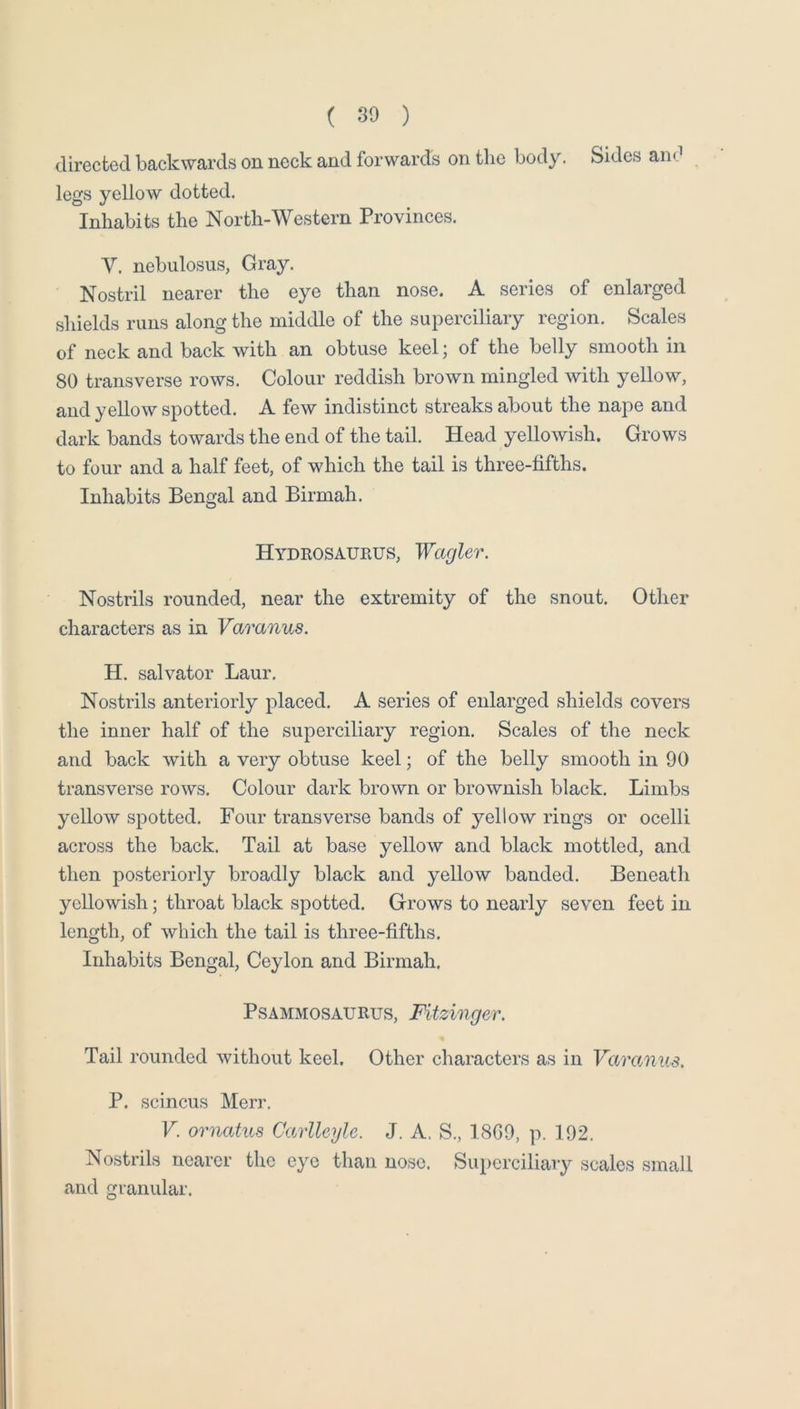directed backwards on neck and forwards on tlie body. Sides and legs yellow dotted. Inhabits the North-Western Provinces. V. nebulosus, Gray. Nostril nearer the eye than nose. A series of enlarged shields runs along the middle of the superciliary region. Scales of neck and back with an obtuse keel; of the belly smooth in 80 transverse rows. Colour reddish brown mingled Avith yellow, and yellow spotted. A few indistinct streaks about the nape and dark bands towards the end of the tail. Head yellowish. Grows to four and a half feet, of which the tail is three-fifths. Inhabits Bengal and Birmah. HydrosauPvUS, Wagler. Nostrils rounded, near the extremity of the snout. Other characters as in Varanus. H. Salvator Laur. Nostrils anteriorly placed. A series of enlarged shields covers the inner half of the superciliary region. Scales of the neck and back Avith a very obtuse keel; of the belly smooth in 90 transverse roAvs. Colour dark brown or broAvnish black. Limbs yelloAv spotted. Four transverse bands of yellow rings or ocelli across the back. Tail at base yellow and black mottled, and then posteriorly broadly black and yellow banded. Beneath yellowish; throat black spotted. Grows to nearly seven feet in length, of Avhich the tail is three-fifths. Inhabits Bengal, Ceylon and Birmah. PsAMMOSAURus, Fitzingev. Tail rounded without keel. Other characters as in VaroMus. P. scincus Merr. V. ornatus Carllegle. J. A. S., 18G0, p. 192. Nostrils nearer the eye than nose. Superciliary scales small and granular.