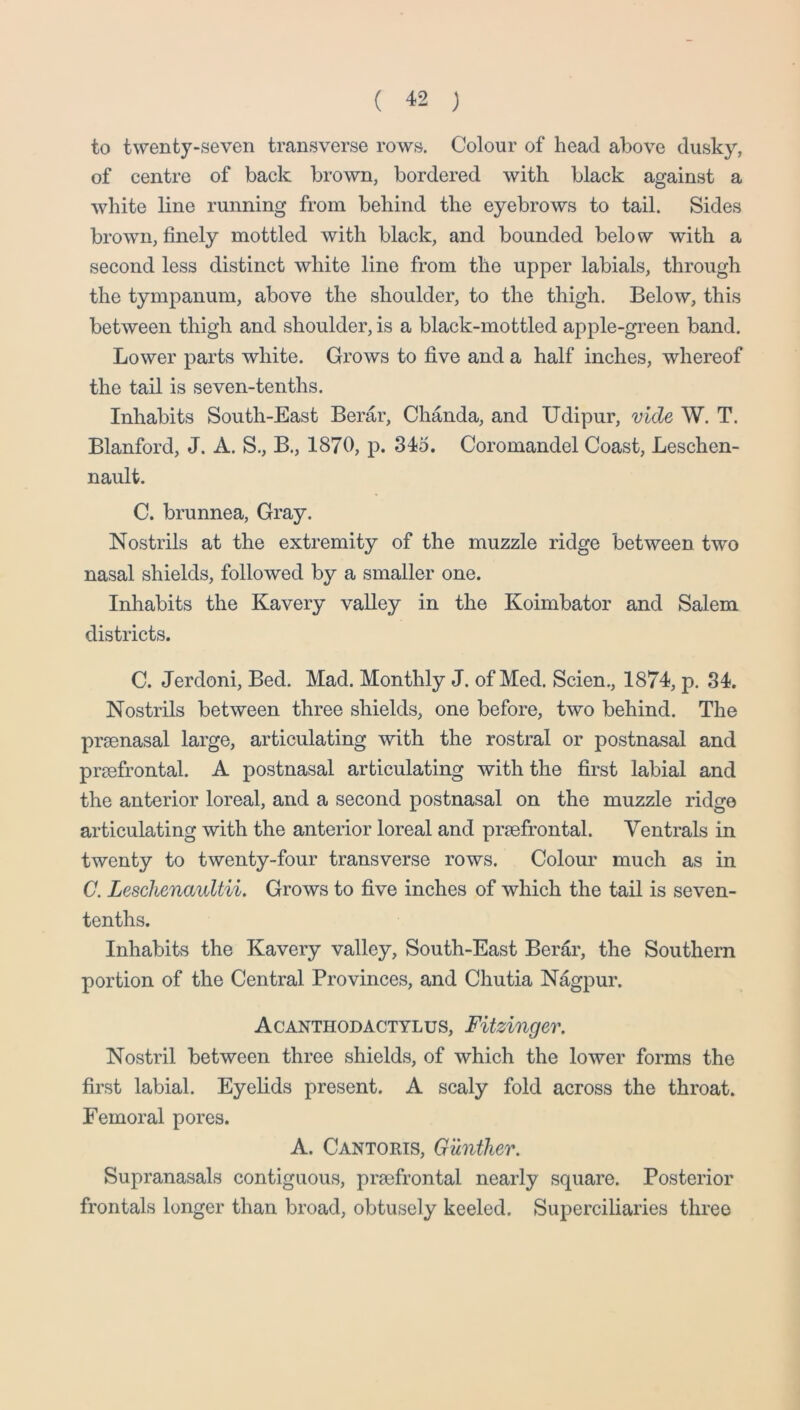 to twenty-seven transverse rows. Colour of head above dusky, of centre of back brown, bordered with black against a white line running from behind the eyebrows to tail. Sides brown, finely mottled with black, and bounded below with a second less distinct white line from the upper labials, through the tympanum, above the shoulder, to the thigh. Below, this between thigh and shoulder, is a black-mottled apple-green band. Lower parts white. Grows to five and a half inches, whereof the tail is seven-tenths. Inhabits South-East Berar, Chanda, and Udipur, vide W. T. Blanford, J. A. S., B., 1870, p. 345. Coromandel Coast, Leschen- nault. C. brunnea, Gray. Nostrils at the extremity of the muzzle ridge between two nasal shields, followed by a smaller one. Inhabits the Kavery valley in the Koimbator and Salem districts. C. Jerdoni, Bed. Mad. Monthly J. of Med. Scien., 1874, p. 34. Nostrils between three shields, one before, two behind. The prsenasal large, articulating with the rostral or postnasal and prjefrontal. A postnasal articulating with the first labial and the anterior loreal, and a second postnasal on the muzzle ridge articulating with the anterior loreal and prsefrontal. Ventrals in twenty to twenty-four transverse rows. Colour much as in C. Leschenaultii, Grows to five inches of which the tail is seven- tenths. Inhabits the Kavery valley, South-East Berar, the Southern portion of the Central Provinces, and Chutia Nagpur. Acanthodactylus, Fitzinger. Nostril between three shields, of which the lower forms the first labial. Eyelids present. A scaly fold across the throat. Femoral pores. A. Cantoris, Gunther. Supranasals contiguous, prsefrontal nearly square. Posterior frontals longer than broad, obtusely keeled. Superciliaries three