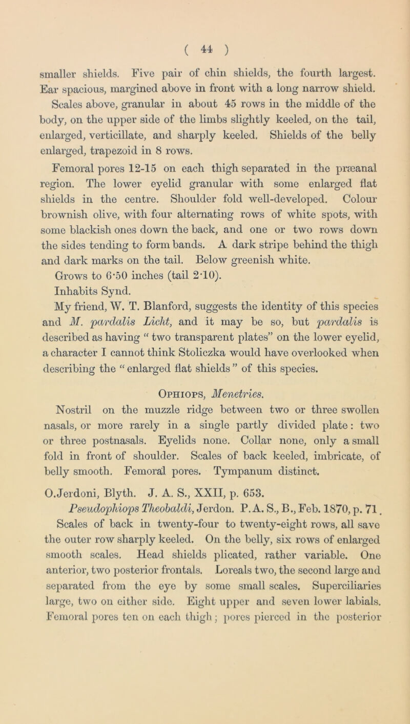 smaller shields. Five pair of chin shields, the fourth largest. Ear spacious, margined above in front with a long narrow shield. Scales above, granular in about 45 rows in the middle of the body, on the upper side of the limbs slightly keeled, on the tail, enlarged, verticillate, and sharply keeled. Shields of the belly enlarged, trapezoid in 8 rows. Femoral pores 12-15 on each thigh separated in the prseanal region. The lower eyelid granular with some enlarged flat shields in the centre. Shoulder fold well-developed. Colour brownish olive, with four alternating rows of white spots, with some blackish ones down the back, and one or two rows down the sides tending to form bands. A dark stripe behind the thigh and dark marks on the tail. Below greenish white. Grows to 6*50 inches (tail 2TO). Inhabits Synd. My friend, W. T. Blanford, suggests the identity of this species and M. pardalis Licht, and it may be so, but pardalis is described as having “ two transparent plates” on the lower eyelid, a character I cannot think Stoliczka would have overlooked when describing the “ enlarged flat shields ” of this species. Ophiops, Menetries. Nostril on the muzzle ridge between two or three swollen nasals, or more rarely in a single partly divided plate: two or three postnasals. Eyelids none. Collar none, only a small fold in front of shoulder. Scales of back keeled, imbricate, of belly smooth. Femoral pores. Tympanum distinct. O.Jeidoni, Blyth. J. A. S., XXII, p. 653. Fseudophiops Theohaldi, Jerdon. P. A. S., B., Feb. 1870, p. 71. Scales of back in twenty-four to twenty-eight rows, all save the outer row sharply keeled. On the belly, six rows of enlarged smooth scales. Head shields plicated, rather variable. One anterior, two posterior frontals. Loreals two, the second large and separated from the eye by some small scales. Superciliaries large, two on either side. Eight upper and seven lower labials. Femoi-al pores ten on each thigh; pores pierced in the posterior