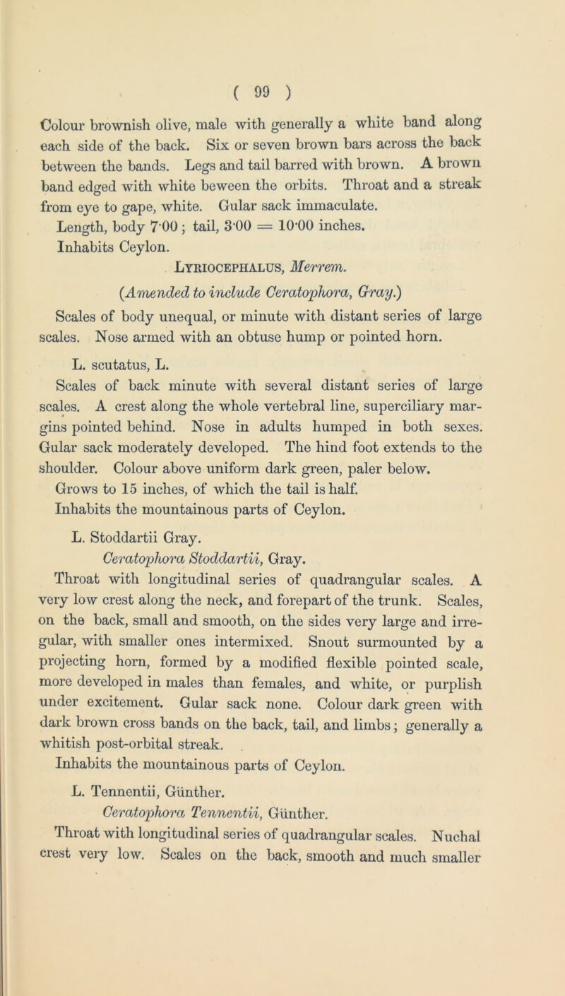 Colour brownish olive, male with generally a white band along each side of the back. Six or seven brown bars across the back between the bands. Legs and tail barred with brown. A brown band edcred with white be ween the orbits. Throat and a streak from eye to gape, white. Gular sack immaculate. Length, body 7*00; tail, 3-00 = 10*00 inches. Inhabits Ceylon. Lyriocephalus, Merrem. {Amended to include Geratophora, Gray.) Scales of body unequal, or minute with distant series of large scales. Nose armed with an obtuse hump or pointed horn. L. scutatus, L. Scales of back minute with several distant series of large scales. A crest along the whole vertebral line, superciliary mar- gins pointed behind. Nose in adults humped in both sexes. Gular sack moderately developed. The hind foot extends to the shoulder. Colour above uniform dark green, paler below. Grows to 15 inches, of which the tail is half. Inhabits the mountainous parts of Ceylon. L. Stoddartii Gray. Geratophora Stoddartii, Gray. Throat with longitudinal series of quadrangular scales. A very low crest along the neck, and forepart of the trunk. Scales, on the back, small and smooth, on the sides very large and irre- gular, with smaller ones intermixed. Snout surmounted by a projecting horn, formed by a modified flexible pointed scale, more developed in males than females, and white, or purplish under excitement. Gular sack none. Colour dark green with dark brown cross bands on the back, tail, and limbs; generally a whitish post-orbital streak. Inhabits the mountainous parts of Ceylon. L. Tennentii, Gunther. Geratophora Tennentii, Gunther. Throat with longitudinal series of quadrangular scales. Nuchal crest very low. Scales on the back, smooth and much smaller