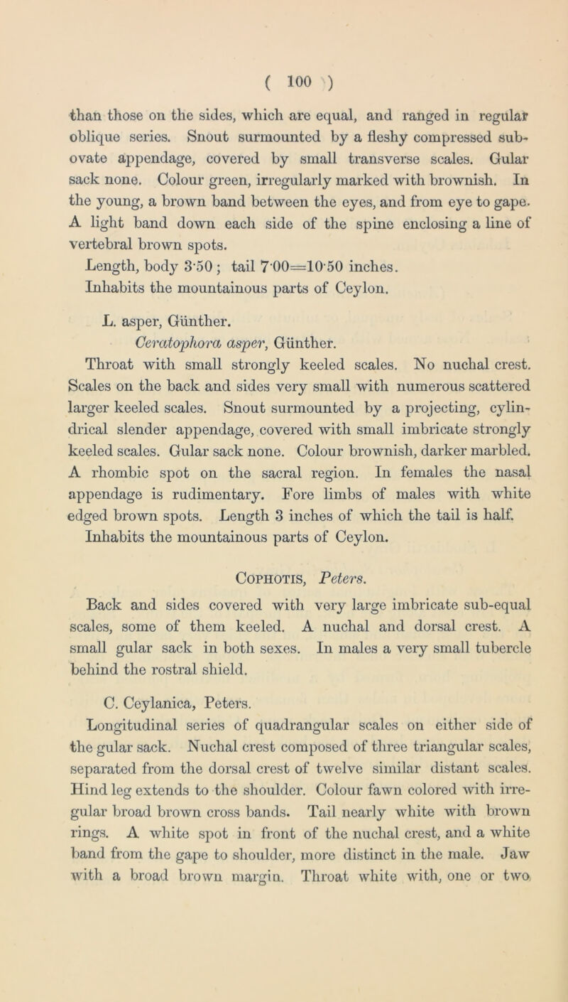 than those on the sides, which are equal, and ranged in regular oblique series. Snout surmounted by a fleshy compressed sub- ovate appendage, covered by small transverse scales. Gular sack none. Colour green, irregularly marked with brownish. In the young, a brown band between the eyes, and from eye to gape. A light band down each side of the spine enclosing a line of vertebral brown spots. Length, bod}^ 3’50 ; tail 700=10 50 inches. Inhabits the mountainous parts of Ceylon. L. asper, Gunther. Ceratophora asper, Giinther. Throat with small strongly keeled scales. No nuchal crest. Scales on the back and sides very small with numerous scattered larger keeled scales. Snout surmounted by a projecting, cylin- drical slender appendage, covered with small imbricate strongly keeled scales. Gular sack none. Colour brownish, darker marbled. A rhombic spot on the sacral region. In females the nasal appendage is rudimentary. Fore limbs of males with white edged brown spots. Length 3 inches of which the tail is half. Inhabits the mountainous parts of Ceylon. CoPHOTis, Peters. Back and sides covered with very large imbricate sub-equal scales, some of them keeled. A nuchal and dorsal crest. A small gular sack in both sexes. In males a very small tubercle behind the rostral shield. C. Ceylanica, Peters. Longitudinal series of quadrangular scales on either side of the gular sack. Nuchal crest composed of three triangular scales, separated from the dorsal crest of twelve similar distant scales. Hind leg extends to the shoulder. Colour fawn colored with irre- gular broad brown cross bands. Tail nearly white with brown rings. A white spot in front of the nuchal crest, and a white band from the gape to shoulder, more distinct in the male. Jaw with a broad brown margin. Throat white with, one or two