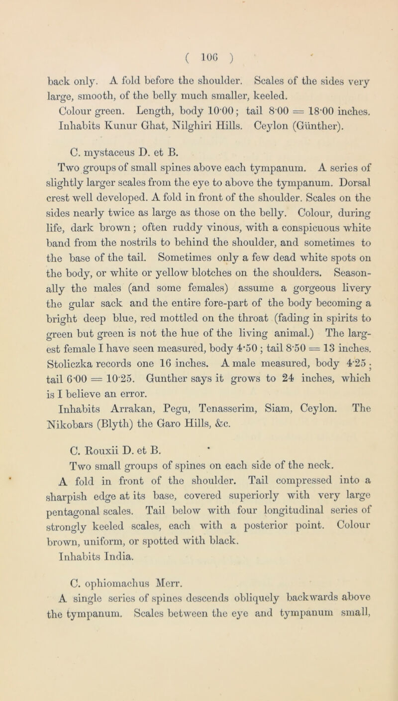 ( IOC ) back only. A fold before the shoulder. Scales of the sides very large, smooth, of the belly much smaller, keeled. Colour green. Length, body lO'OO; tail 8 00 = 18*00 inches. Inhabits Kunur Ghat, Nilghiri Hills. Ceylon (Gunther). C. mystaceus D. et B. Two groups of small spines above each tympanum. A series of slightly larger scales from the eye to above the tympanum. Dorsal crest well developed. A fold in front of the shoulder. Scales on the sides nearly twice as large as those on the belly. Colour, during life, dark brown; often ruddy vinous, with a conspicuous white band from the nostrils to behind the shoulder, and sometimes to the base of the tail. Sometimes only a few dead white spots on the body, or white or yellow blotches on the shoulders. Season- ally the males (and some females) assume a gorgeous livery the gular sack and the entire fore-part of the body becoming a bright deep blue, red mottled on the throat (fading in spirits to green but green is not the hue of the living animal.) The larg- est female I have seen measured, body 4*50 ; tail 8*50 = 13 inches. Stoliczka records one 16 inches. A male measured, body 4*25 • tail 6*00 = 10*25. Gunther says it grows to 24 inches, which is I believe an error. Inhabits Arrakan, Pegu, Tenasserim, Siam, Ceylon. The Nikobars (Blyth) the Garo Hills, &c. C. Bouxii D. et B. Two small groups of spines on each side of the neck. A fold in front of the shoulder. Tail compressed into a sharpish edge at its base, covered superiorly with very large pentagonal scales. Tail below with four longitudinal series of strongly keeled scales, each with a posterior point. Colour brown, uniform, or spotted with black. Inhabits India. C. ophiomachus Mcrr. A single series of spines descends obliquely backwards above the tympanum. Scales between the eye and tympanum small,