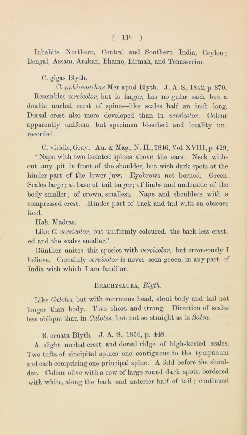 Inhabits Northern, Central and Southern India, Ceylon; Bengal, Assam, Arakan, Bhamo, Birrnah, and Tenasserim. C. gigas Blyth. C. pphiomachus Mer apud Blyth. J. A. S., 1842, p. 870. Resembles versicolor, but is larger, has no gular sack but a double nuchal crest of spine—like scales half an inch long. Dorsal crest also more developed than in versicolor. Colour apparently uniform, but specimen bleeched and locality un- recorded. C. viridis. Gray. An. k Mag., N. H., 1846, Vol. XVIII, p. 429. “ Nape with two isolated spines above the ears. Neck with- out any pit in front of the shoulder, but with dark spots at the hinder part of the lower jaw. Eyebrows not horned. Green. Scales large; at base of tail larger; of limbs and underside of the body smaller; of crown, smallest. Nape and shoulders with a compressed crest. Hinder part of back and tail with an obscure keel. Hab. Madras. Like C. versicolor, but uniformly coloured, the back less crest- ed and the scales smaller.” Gunther unites this species with versicolor, but erroneously I believe. Certainly versicolor is never seen green, in any part of India with which I am familiar. Brachysaura, Blyth. Like Galotes, but with enormous head, stout body and tail not longer than body. Toes short and strong. Direction of scales less oblique than in Galotes, but not so straight as is Salea. B. ornata Blyth. J. A. S., 1856, p. 448. A slight nuchal crest and dorsal ridge of high-keeled scales. Two tufts of sincipital spines one contiguous to the tympanum and each comprising one principal spine. A fold before the shoul- der. Colour olive with a row of large round dark spots, bordered with white, along the back and anterior half of tail; continued