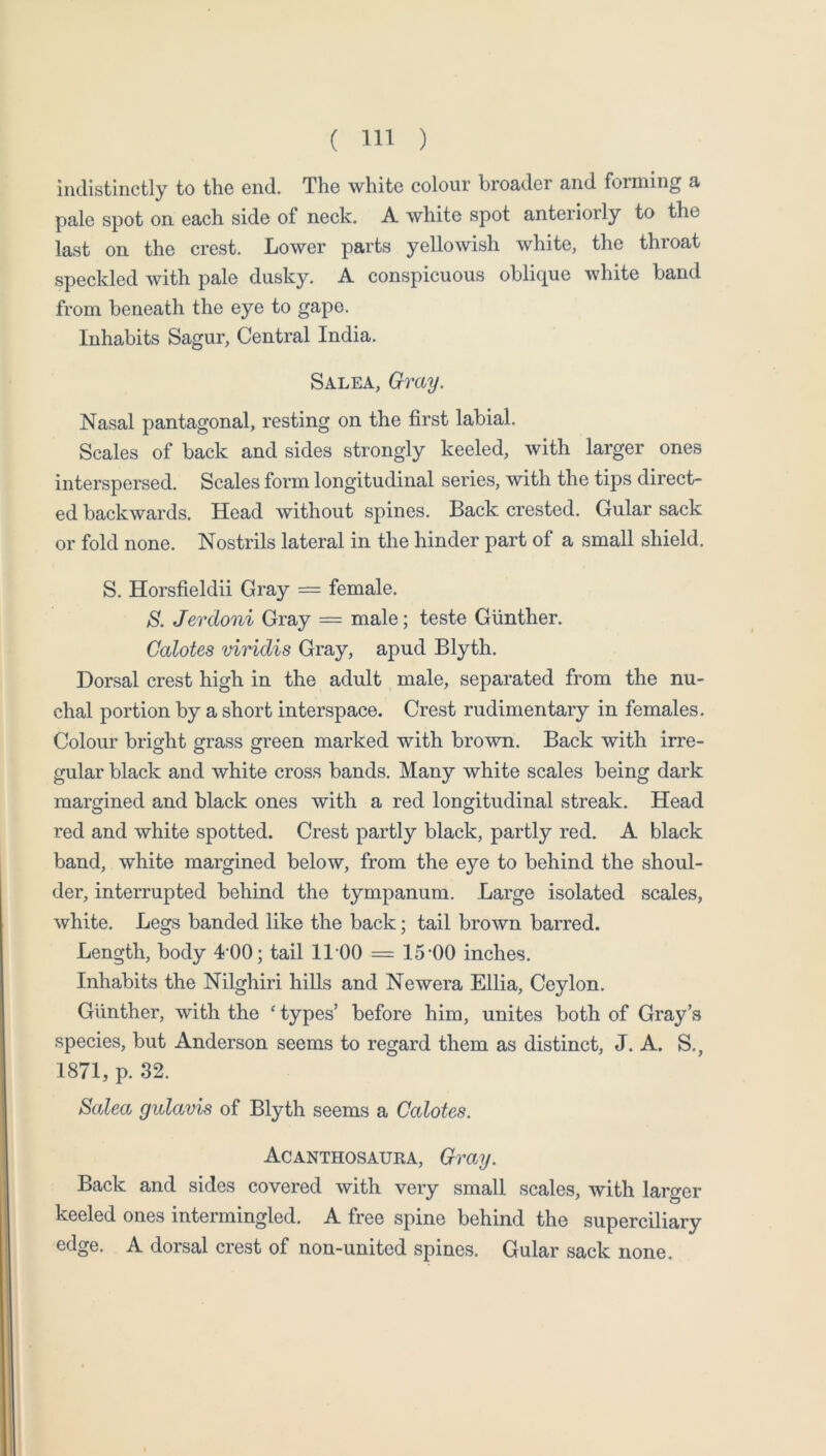 indistinctly to the end. The white colour broader and forming a pale spot on each side of neck. A white spot anteriorly to the last on the crest. Lower parts yellowish white, the throat speckled with pale dusky. A conspicuous oblique white band from beneath the eye to gape. Inhabits Sagur, Central India. Salea, Gray. Nasal pantagonal, resting on the first labial. Scales of back and sides strongly keeled, with larger ones interspersed. Scales form longitudinal series, with the tips direct- ed backwards. Head without spines. Back crested. Gular sack or fold none. Nostrils lateral in the hinder part of a small shield. S. Horsfieldii Gray — female. S. Jerdoni Gray = male; teste Gunther. Calotes viridis Gray, apud Blyth. Dorsal crest high in the adult male, separated from the nu- chal portion by a short interspace. Crest rudimentary in females. Colour bright grass green marked with brown. Back with irre- gular black and white cross bands. Many white scales being dark margined and black ones with a red longitudinal streak. Head red and white spotted. Crest partly black, partly red. A black band, white margined below, from the eye to behind the shoul- der, interrupted behind the tympanum. Large isolated scales, white. Legs banded like the back; tail broAvn barred. Length, body 4‘00; tail 11‘00 = 15-00 inches. Inhabits the Nilghiri hills and Newera Elba, Ceylon. Gunther, with the ‘ types’ before him, unites both of Gray’s species, but Anderson seems to regard them as distinct, J. A. S., 1871, p. 32. Salea gulavis of Blyth seems a Calotes. Acanthosauea, Gray. Back and sides covered with very small scales, with larger keeled ones intermingled. A free spine behind the superciliary edge. A dorsal crest of non-united spines. Gular sack none.