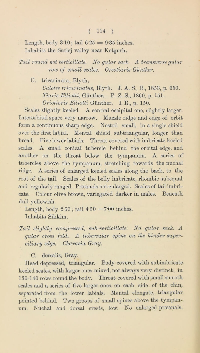 Length, body 310; tail 6’25 = 9'35 inches. Inhabits the Sutlej valley near Kotgurh. Tail round not verticillate. No gular sack. A transverse gular row of small scales. Oreotiaris Gunther. C. tricarinata, Blyth. Calotes tricarinatus, Blyth. J. A. S., B., 1853, p. 650. Tiaris Elliotti, Gunther. P. Z. S., 1860, p. 151. Oriotioris Elliotti Gunther. I. B., p. 150. Scales slightly keeled. A central occipital one, slightly larger. Interorbital space very narrow. Muzzle ridge and edge of orbit form a continuous sharp edge. Nostril small, in a single shield over the first labial. Mental shield subtriangular, longer than broad. Five lower labials. Throat covered with imbricate keeled scales. A small conical tubercle behind the orbital edge, and another on the throat below the tympanum. A series of tubercles above the tympanum, stretching towards the nuchal ridge. A series of enlarged keeled scales along the back, to the root of the tail. Scales of the belly imbricate, rhombic subequal and regularly ranged. Prseanals not enlarged. Scales of tail imbri- cate. Colour olive brown, variegated darker in males. Beneath dull yellowish. Length, body 2 50; tail P50 =7*00 inches. Inhabits Sikkim. Tail slightly compressed, suh-verticillate. No gular sack. A gular cross fold. A tubercular spine on the hinder super- ciliary edge. Charasia Gray. C. dorsalis. Gray. Head depressed, triangular. Body covered with subimbricate keeled scales, with larger ones mixed, not always very distinct; in 130-140 rows round the body. Throat covered with small smooth scales and a series of five larger ones, on each side of the chin, separated from the lower labials. Mental elongate, triangular pointed behind. Two groops of small spines above the tympan- um. Nuchal and dorsal crests, low. No enlarged prseanals.