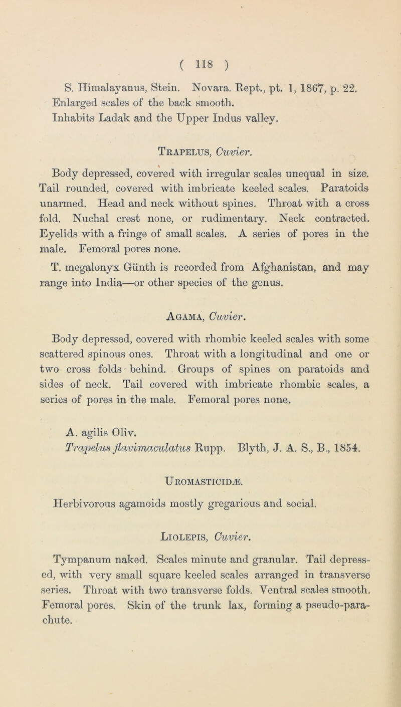 S. Himalayanus, Stein. Novara. Kept., pt. 1, 1867, p. 22, Enlarged scales of the back smooth. Inhabits Ladak and the Upper Indus valley. Trapelus, Cuvier. I Body depressed, covered with irregular scales unequal in size. Tail rounded, covered with imbricate keeled scales. Paratoids unarmed. Head and neck without spines. Throat with a cross fold. Nuchal crest none, or rudimentary. Neck contracted. Eyelids with a fringe of small scales. A series of pores in the male. Femoral pores none. T. megalonyx Giinth is recorded from Afg^hanistan, and may range into India—or other species of the genus. Agama, Cuvier. Body depressed, covered with rhombic keeled scales with some scattered spinous ones. Throat with a longitudinal and one or two cross folds' behind. Groups of spines on paratoids and sides of neck. Tail covered with imbricate rhombic scales, a series of pores in the male. Femoral pores none. A. agilis Oliv. Trapelus flavimaculatus Rupp. Blyth, J. A. S., B., 1854. Uromasticid^. Herbivorous agamoids mostly gregarious and social. Liolepis, Cuvier. Tympanum naked. Scales minute and granular. Tail depress- ed, with very small square keeled scales arranged in transverse series. Throat with two transverse folds. Ventral scales smooth. Femoral pores. Skin of the trunk lax, forming a pseudo-para- chute.