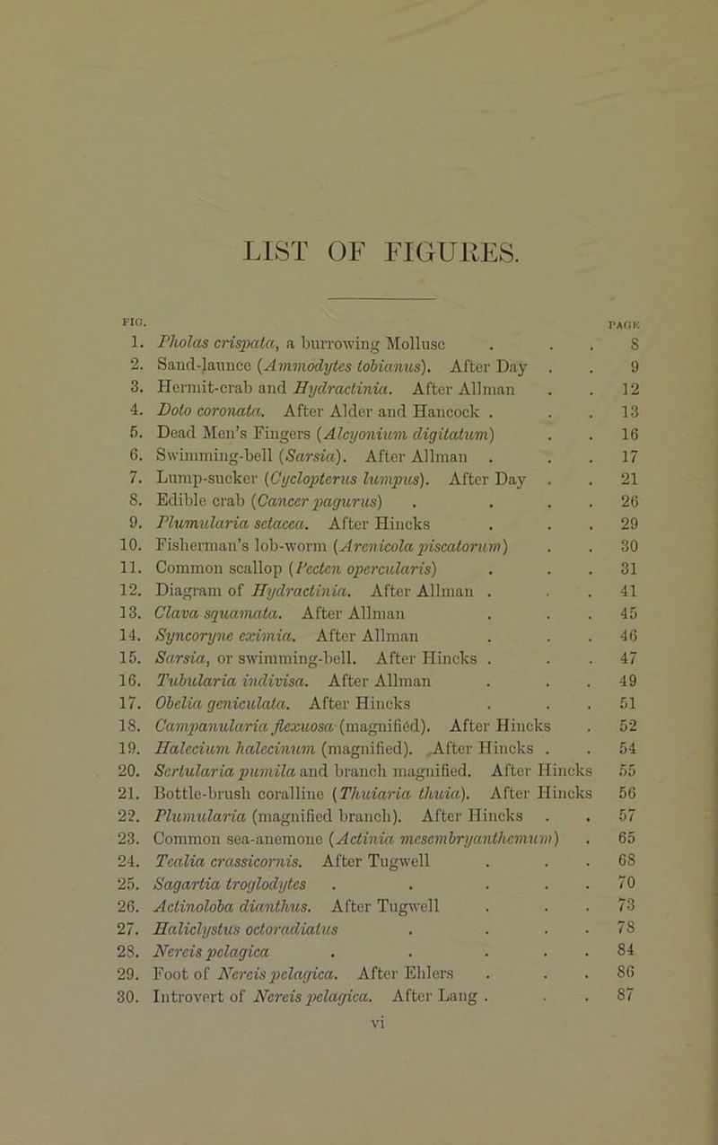 LIST OF FIGURES. FIG. 1. Pliolas crispala, a burrowing Mollusc 2. Sand-launce (Ammodytcs tobianus). After Day 3. Hermit-crab and Eydradinia. After Allman 4. Dolo coronata. After Alder and Hancock . 5. Dead Men’s Fingers (Alcyonium cligitatum) 6. Swimming-bell (Sarsict). After Allman . 7. Lump-sucker (Cycloptcrus lumpus). After Day . 8. Edible crab (Cancer pagurus) . . 9. Plumularia sctacca. After Hincks 10. Fisherman’s lob-worm (Arcnicola jnscatorum) 11. Common scallop (Pccten opcrcularis) 12. Diagram of Hydraclinia. After Allman . 13. Clava squamata. After Allman 14. Syncoryne eximia. After Allman 15. Sarsia, or swimming-bell. After Hincks . 16. Tubularia indivisa. After Allman 17. Obelia geniculata. After Hincks 18. Campanularia Jlcxuosa (magnified). After Hincks 19. Halccium halccinum (magnified). .After Hincks . 20. Sertularia pumila and branch magnified. After Hincks 21. Bottle-brush coralline (Thuiaria thuia). After Hincks 22. Plumularia (magnified branch). After Hincks 23. Common sea-anemone (Actinia mcscmbryanthcmum) 24. Tcalia crassicornis. After Tugwell 25. Sagartia troglodytes . . ... 26. Adinoloba dianthus. After Tugwell 27. Ealiclyslus odoradiatus . ... 28. Nereis pclagica . . . . . 29. Foot of Nereis pclagica. After Elders 30. Introvert of Nereis pclagica. After Lang . PACK 8 9 12 13 16 17 21 26 29 30 31 41 45 46 47 49 51 52 54 55 56 57 65 68 70 73 78 84 86 87